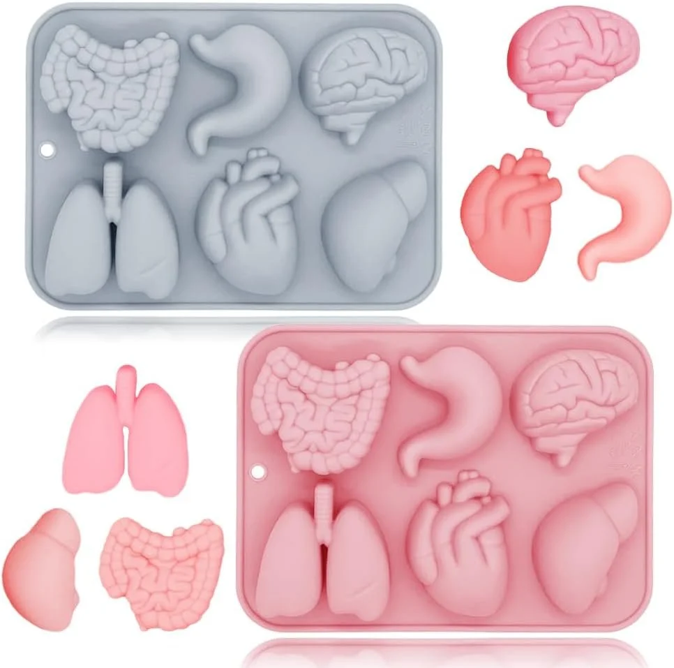 MED - Organs