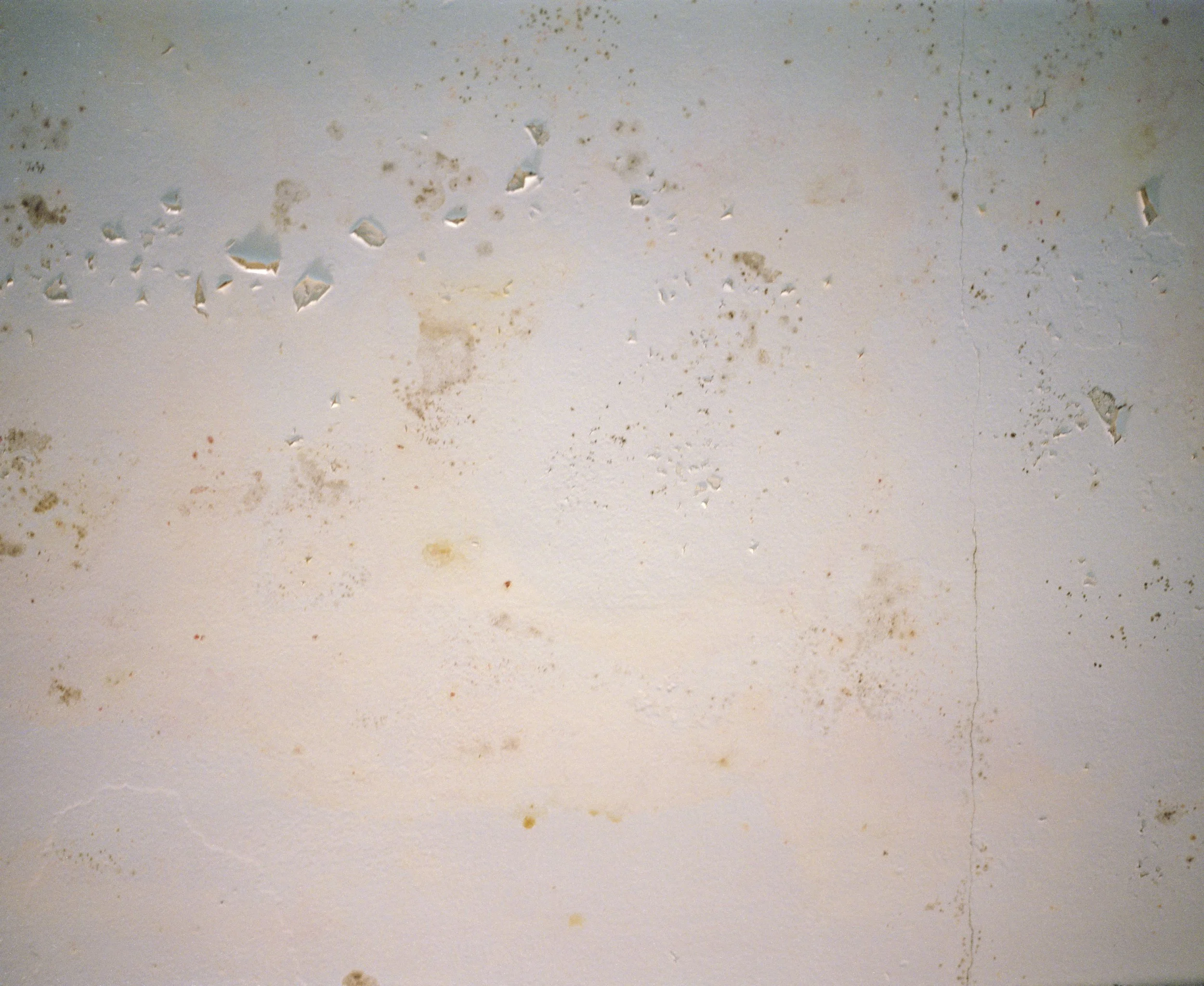untitled-12.jpg