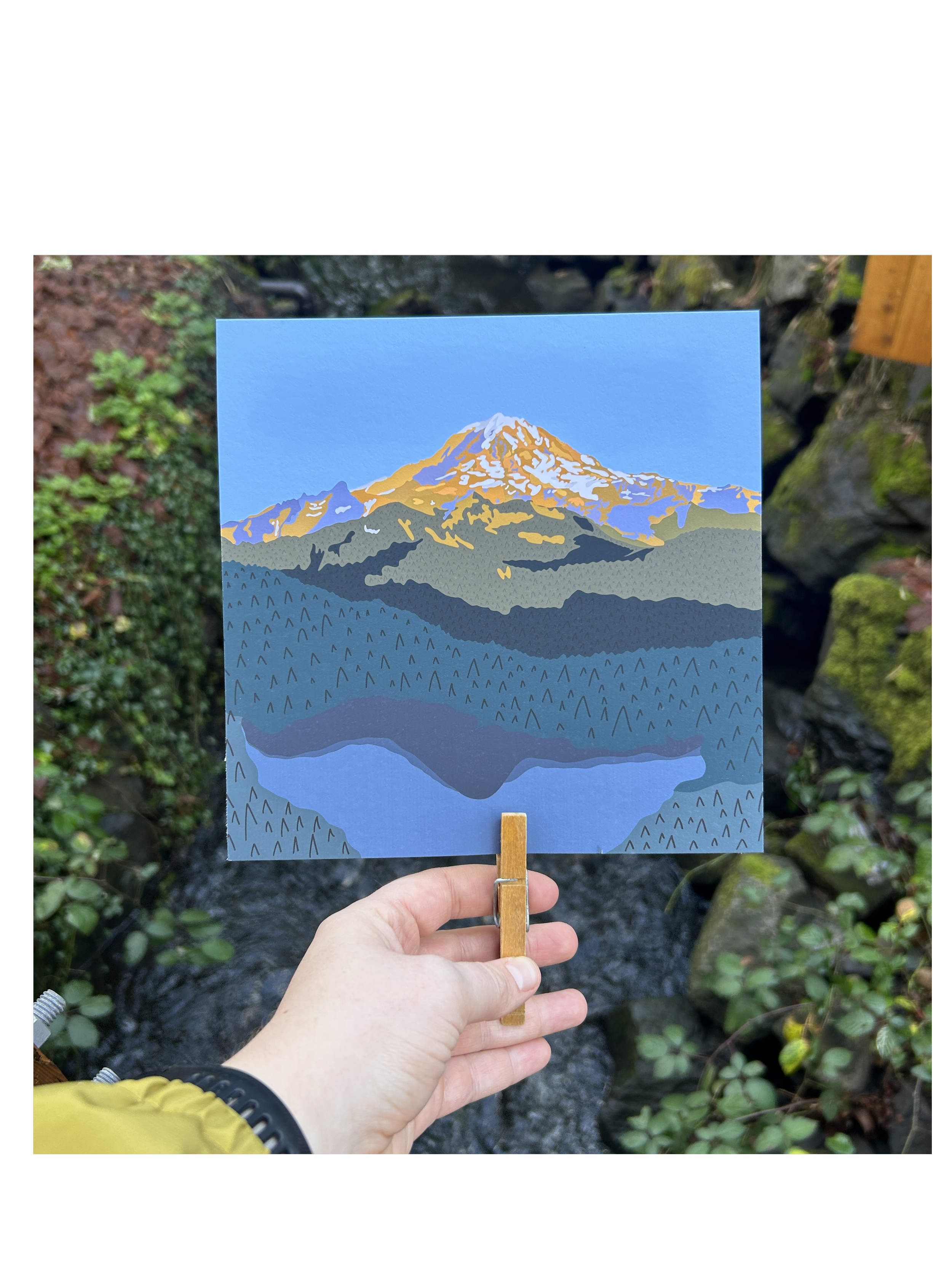 tolmie peak backyard.png