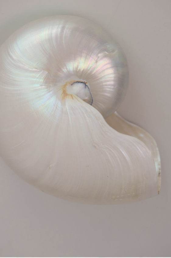 Screenshot 2026-01-13 at 1.53.05 PM.png