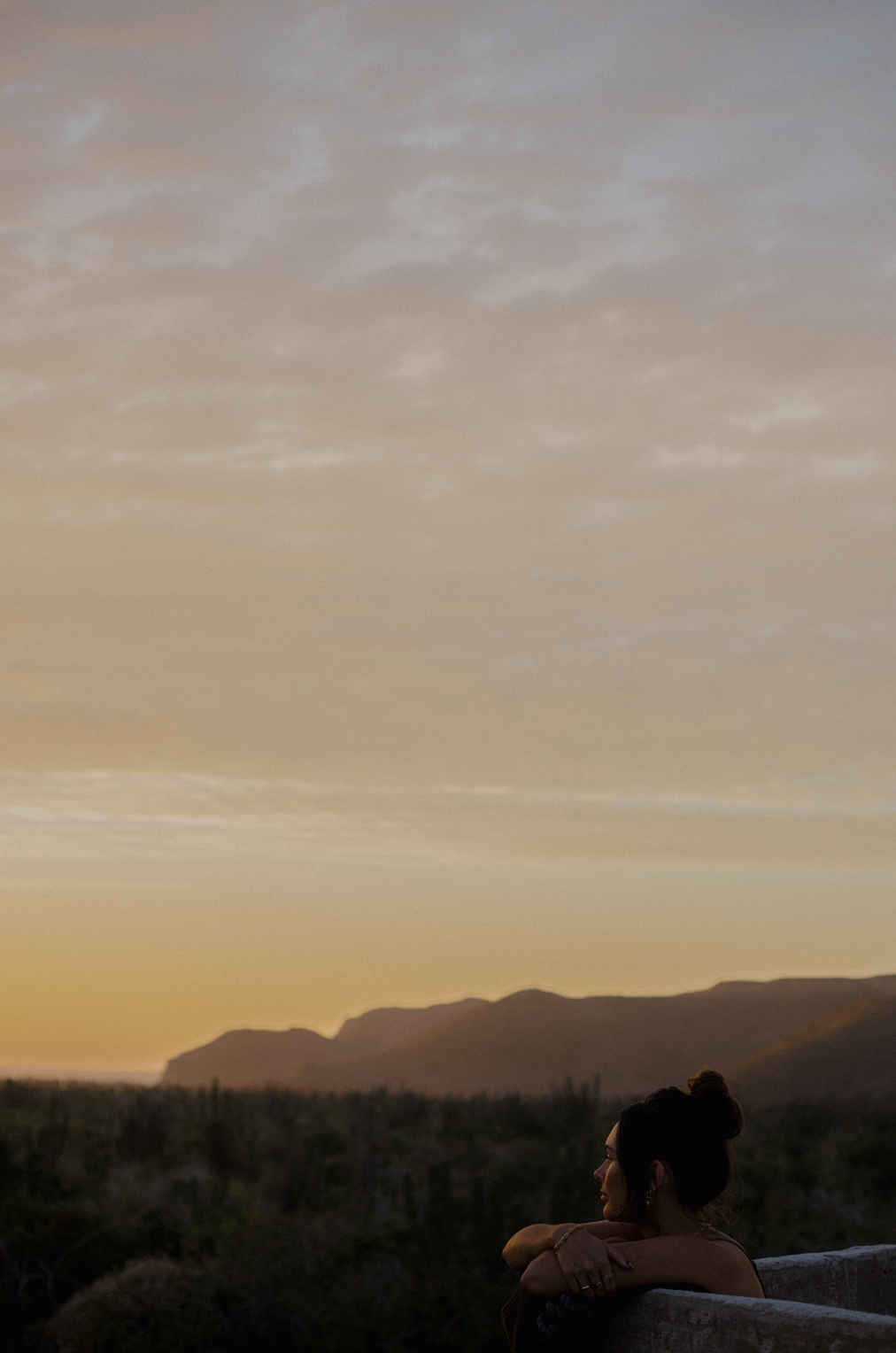 Screenshot 2026-01-03 at 2.29.08 AM.png