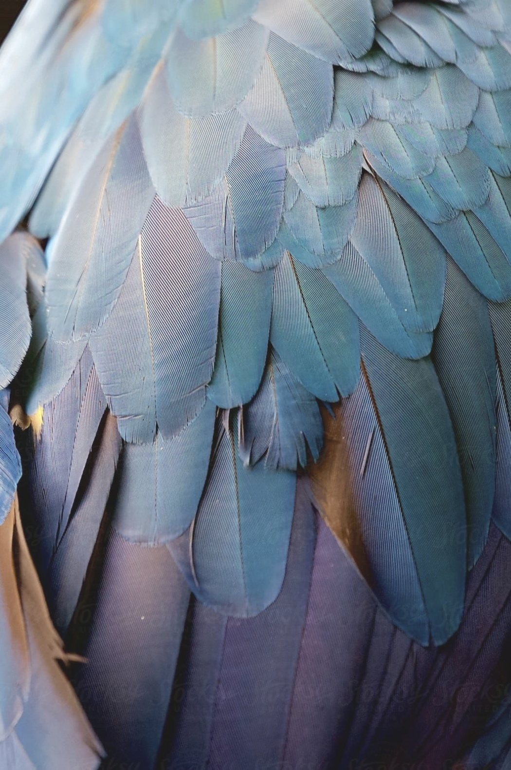 Screenshot 2026-01-03 at 2.21.30 AM.png