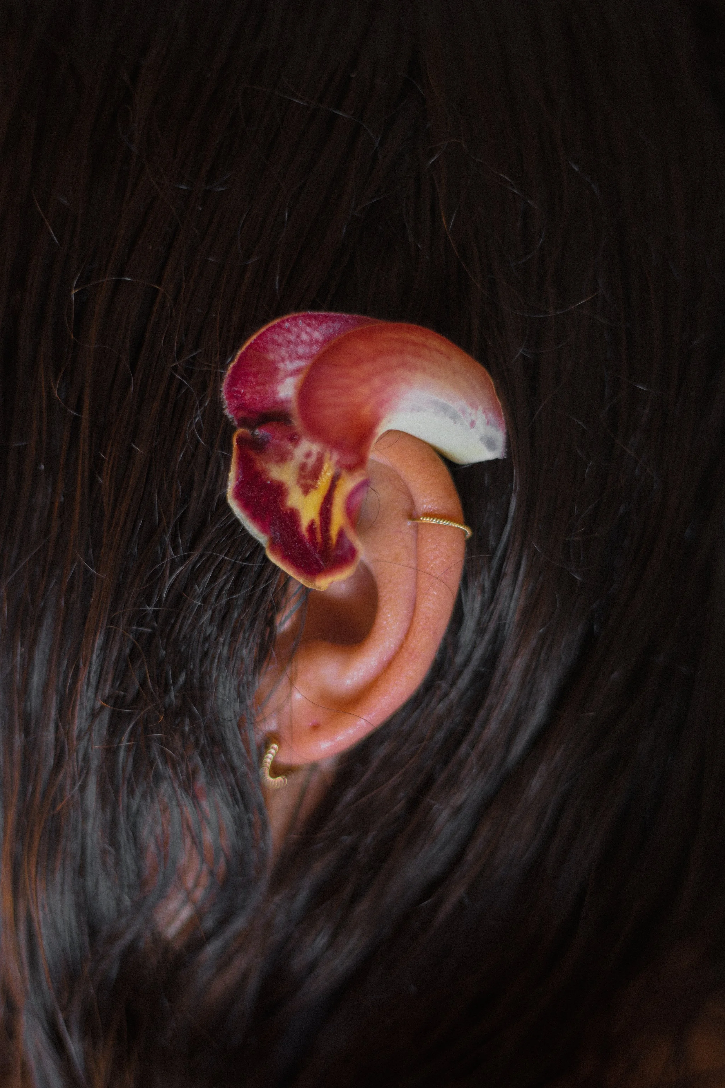 bridgetbrugg - todossantos-274.jpg