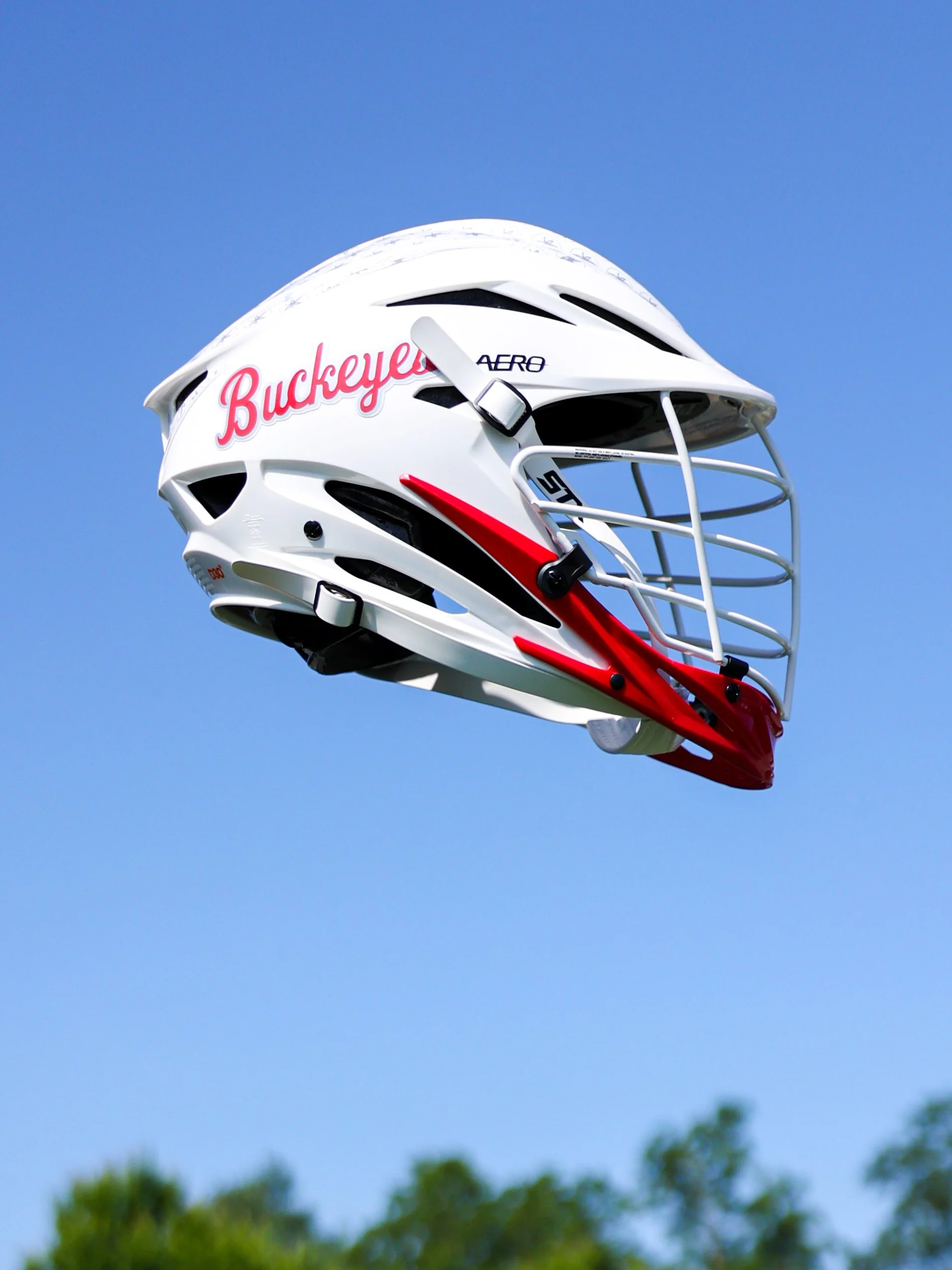 Floating Buckeye.jpg