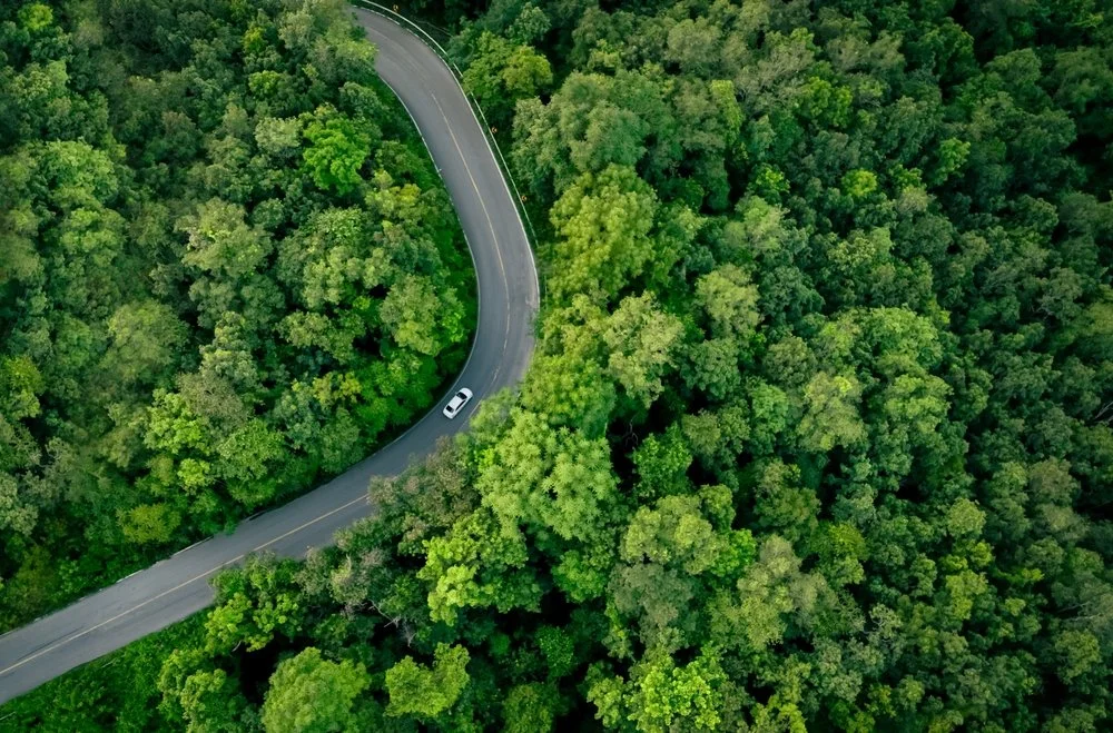 Aerial top view of electric vehicle driving on highway road in green forest. How Data Is Powering a Smarter Fleet Electrification Strategy