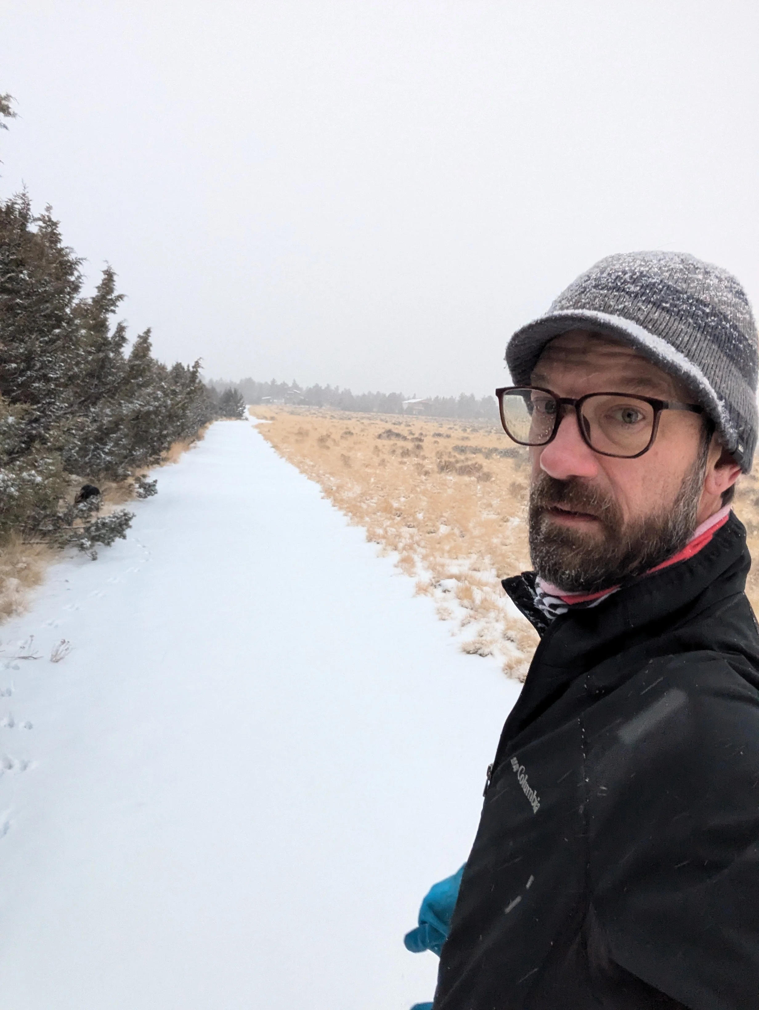 A Snowy Walk and Tesler’s Law of the Conservation of Complexity — Lion ...