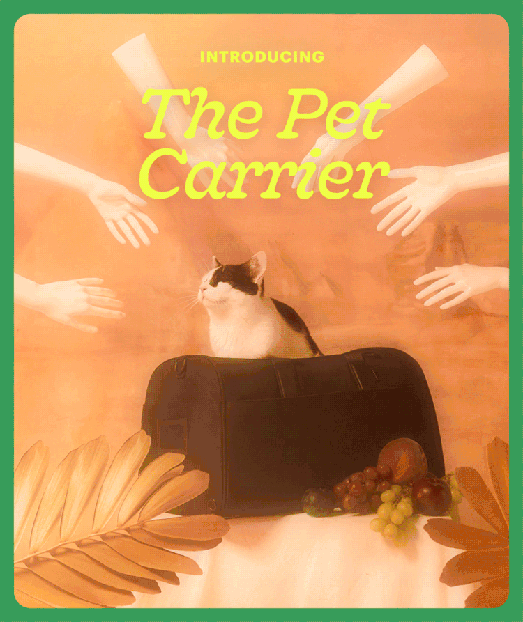 PetCarrier_Email_Launch_Slice01_Hero_1000px.gif