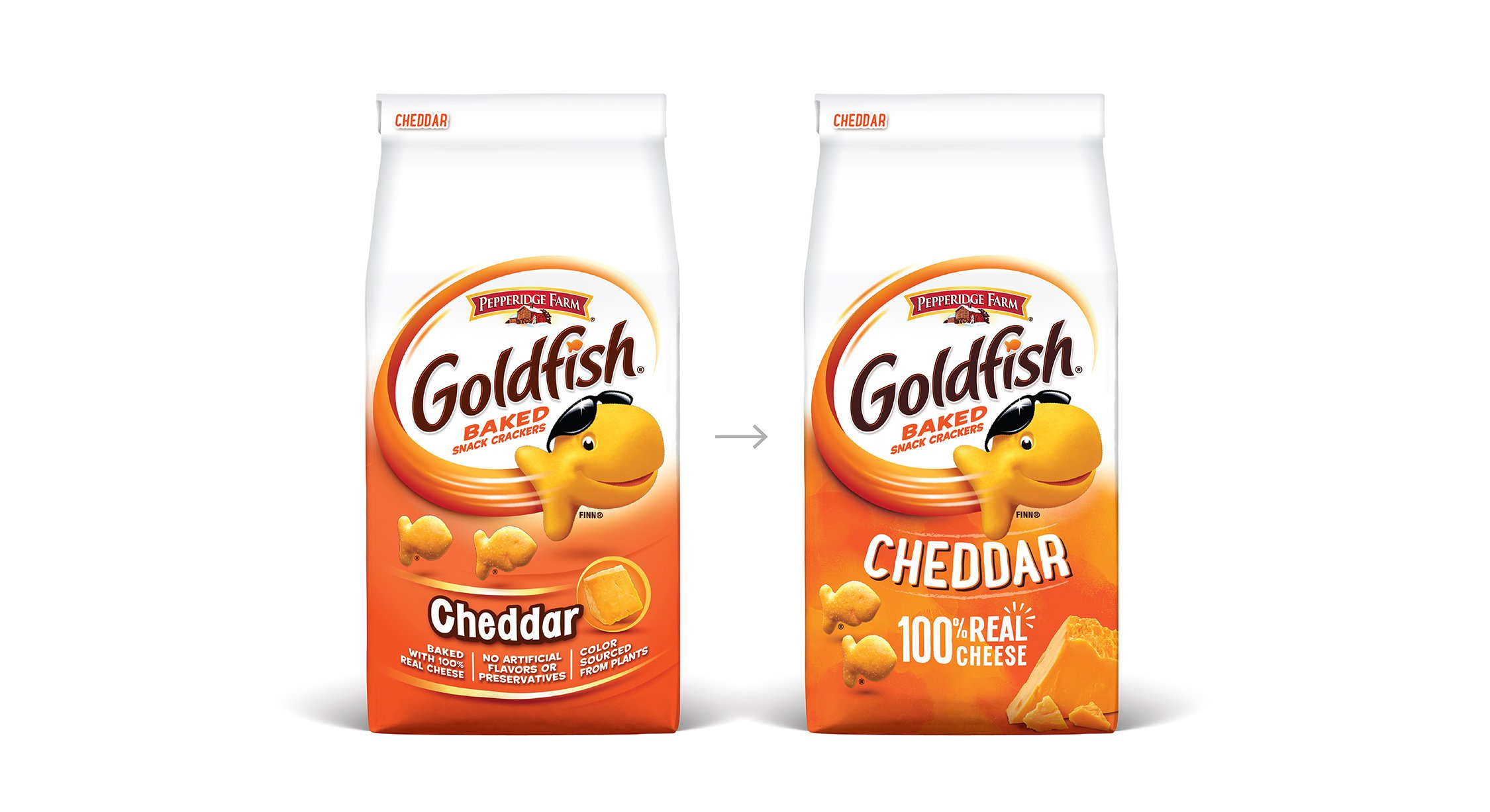 Project_Goldfish-01.jpg