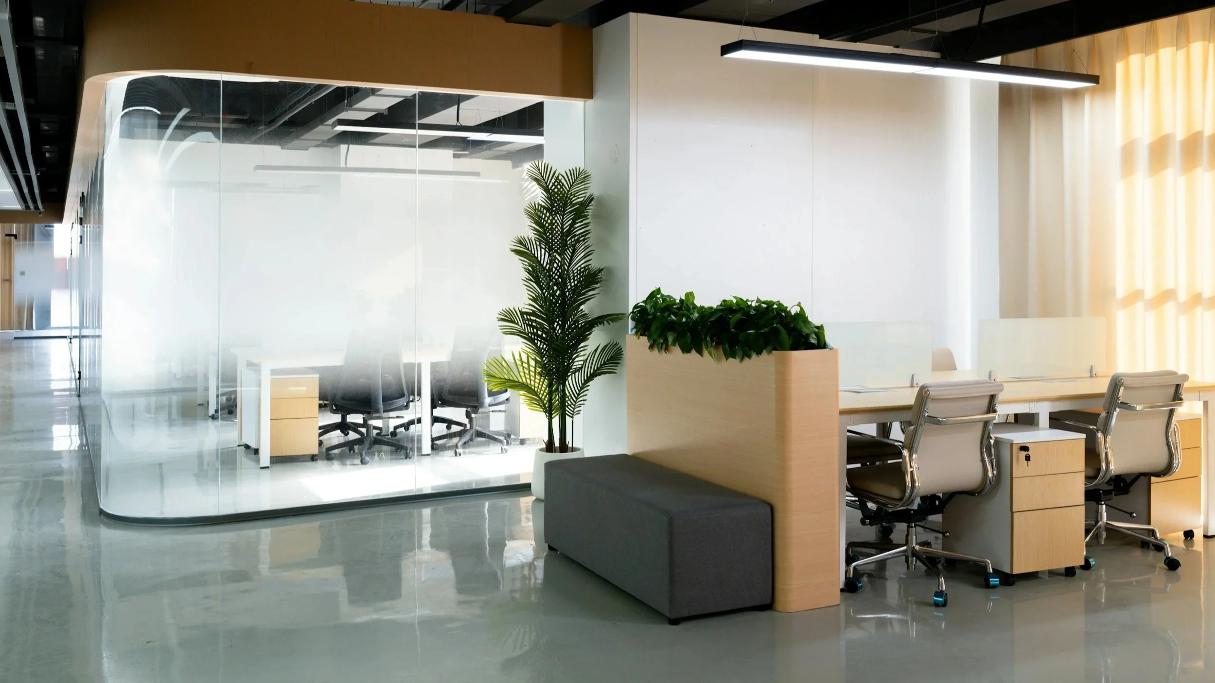 Bright, clean open-plan office with glass meeting rooms, desks and plants