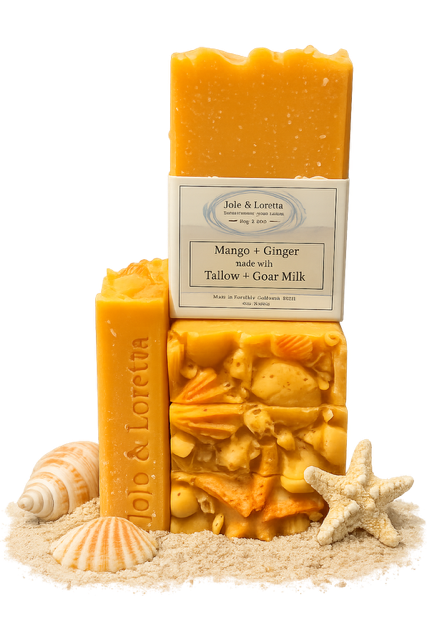 Mango + Ginger with Sea Shell motif
