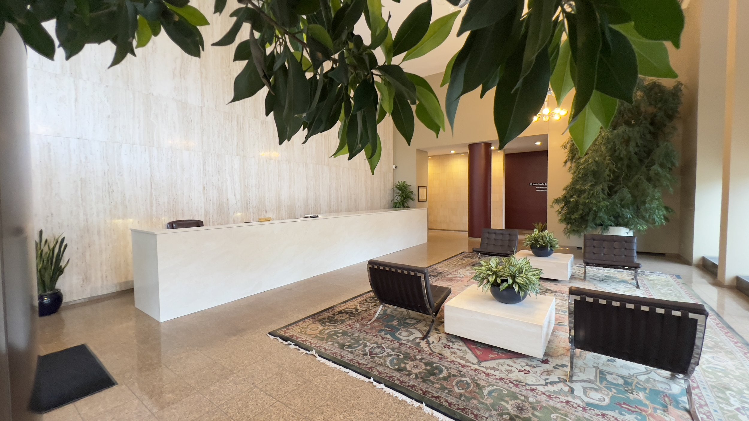 Hotel lobby with a white reception desk, seating area with four black chairs, two low white tables with potted plants, a large green indoor plant, a patterned area rug, and neutral-colored walls and flooring.