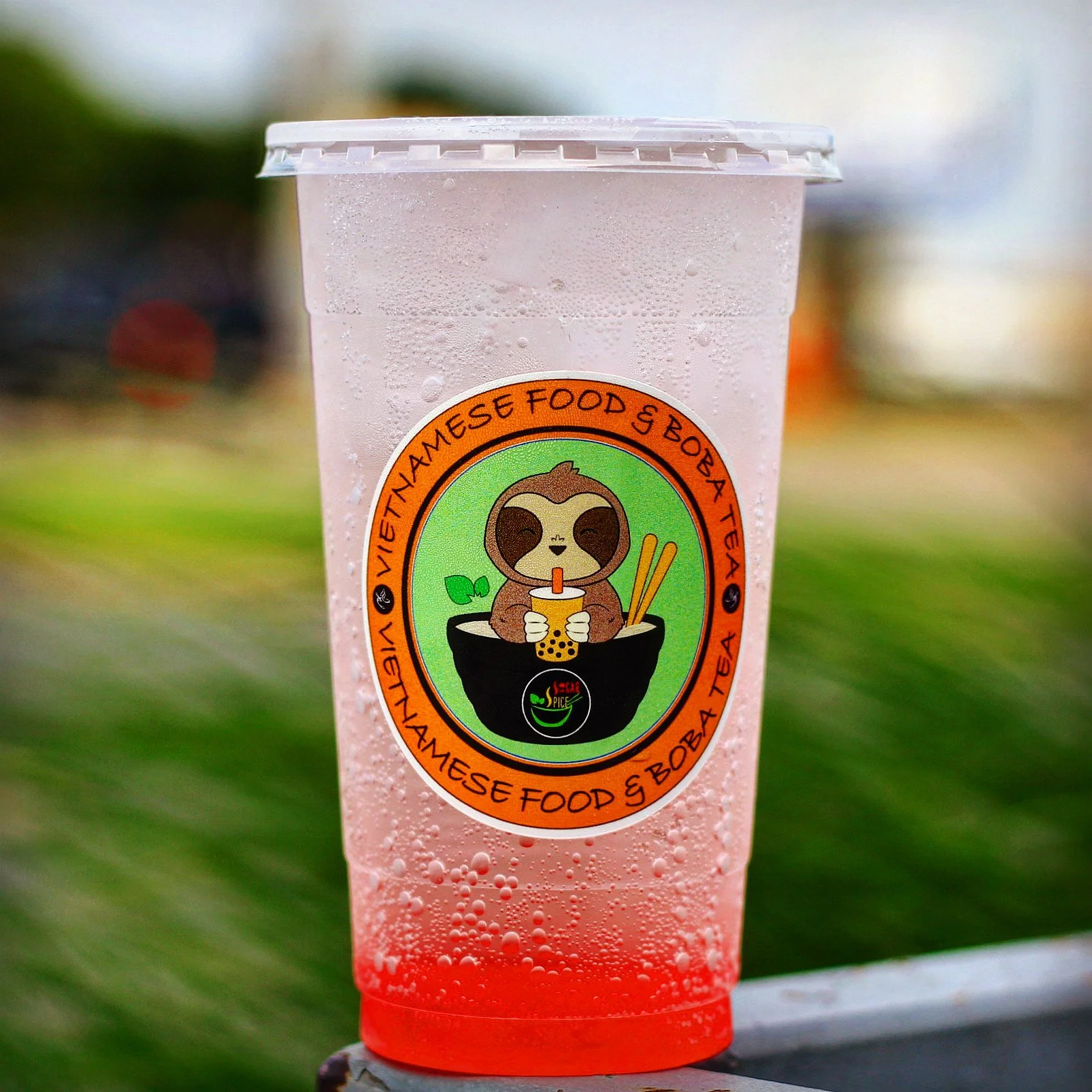 Lychee Rose Bubbly.JPG