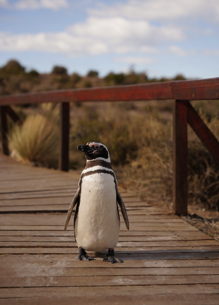 Screenshot 2023-09-03 at 11.09.21 PM.png