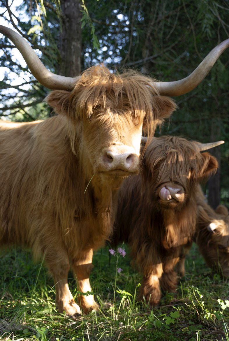 Screenshot 2023-09-03 at 11.25.43 PM.png