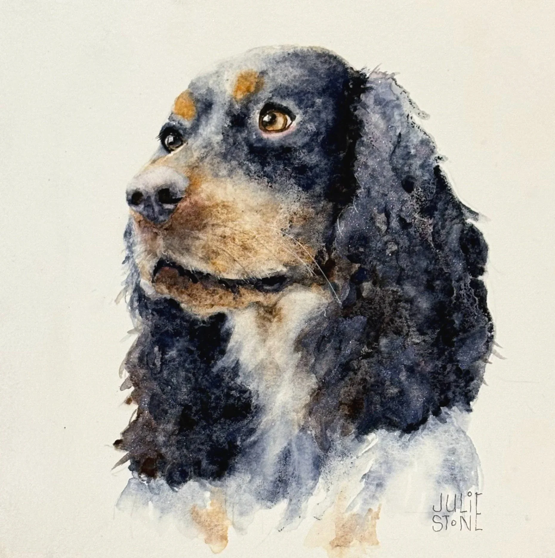 Sadie