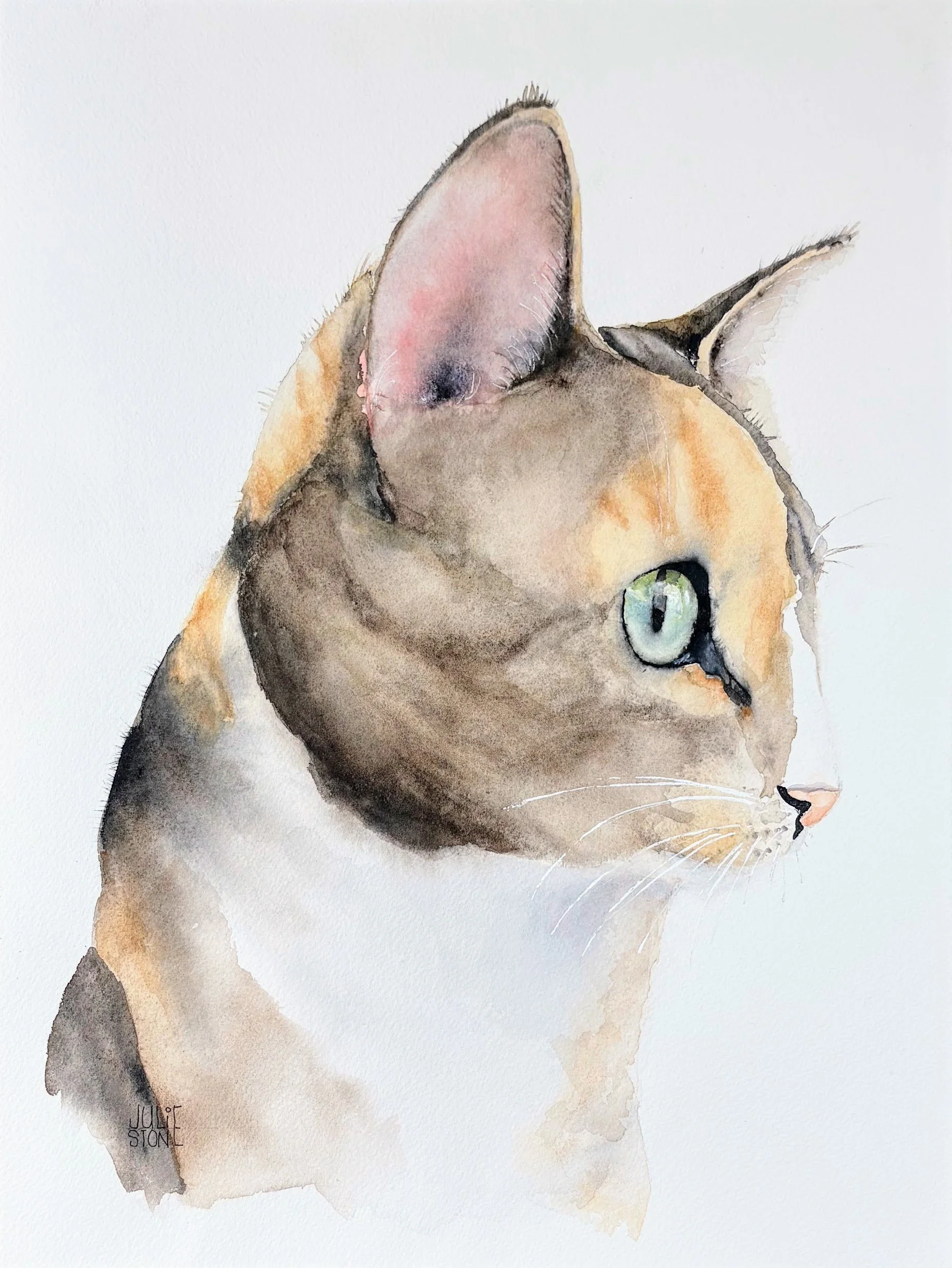 Bernie watercolor