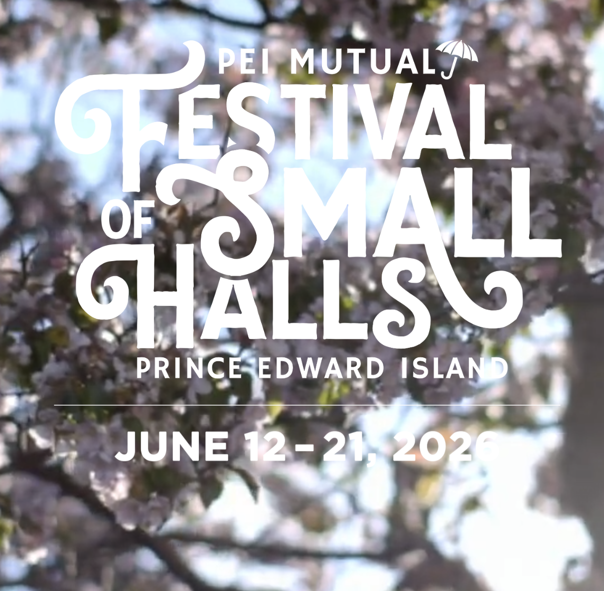 Screen Shot 2026-04-29 at 7.15.49 PM.png