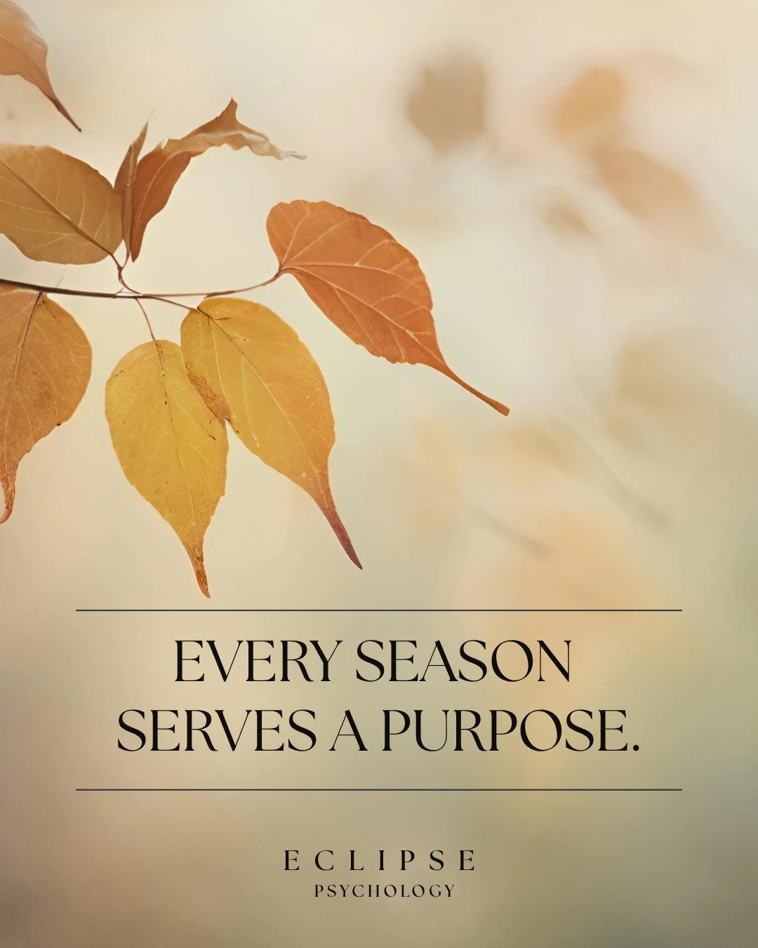 Life is made up of seasons. Some feel exciting and full of possibility. Others feel uncertain, heavy, or slow.

But every season has something to teach us.

As we transition into fall, we invite you to reflect:

What are you ready to carry forward? ?