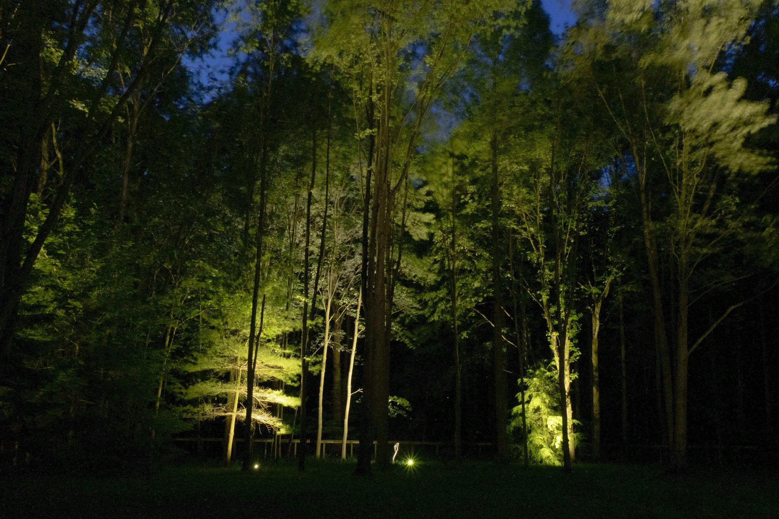 DSCF4249.jpg