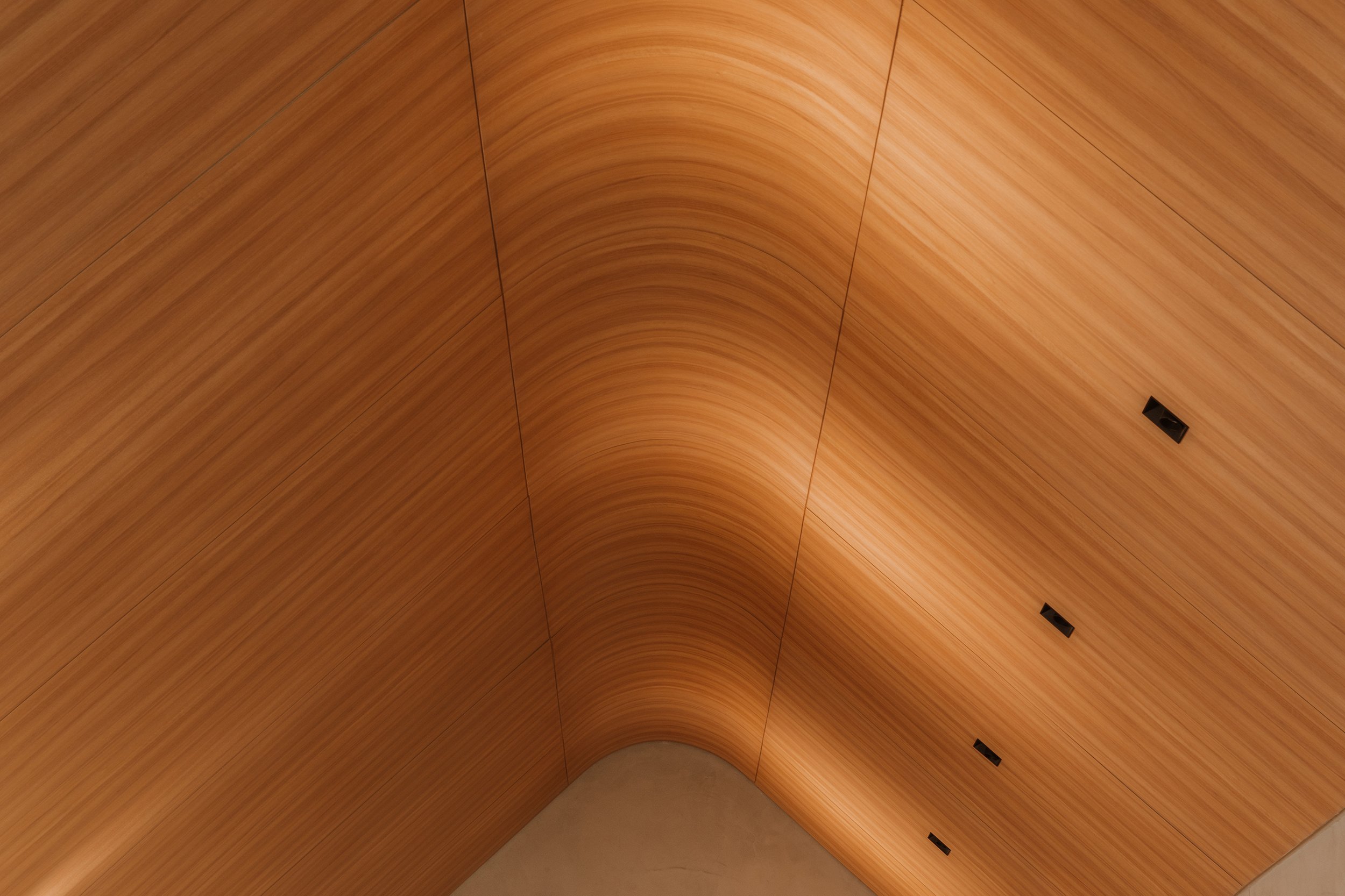 26.CIELO PHPL.MATEO SOTO.jpg