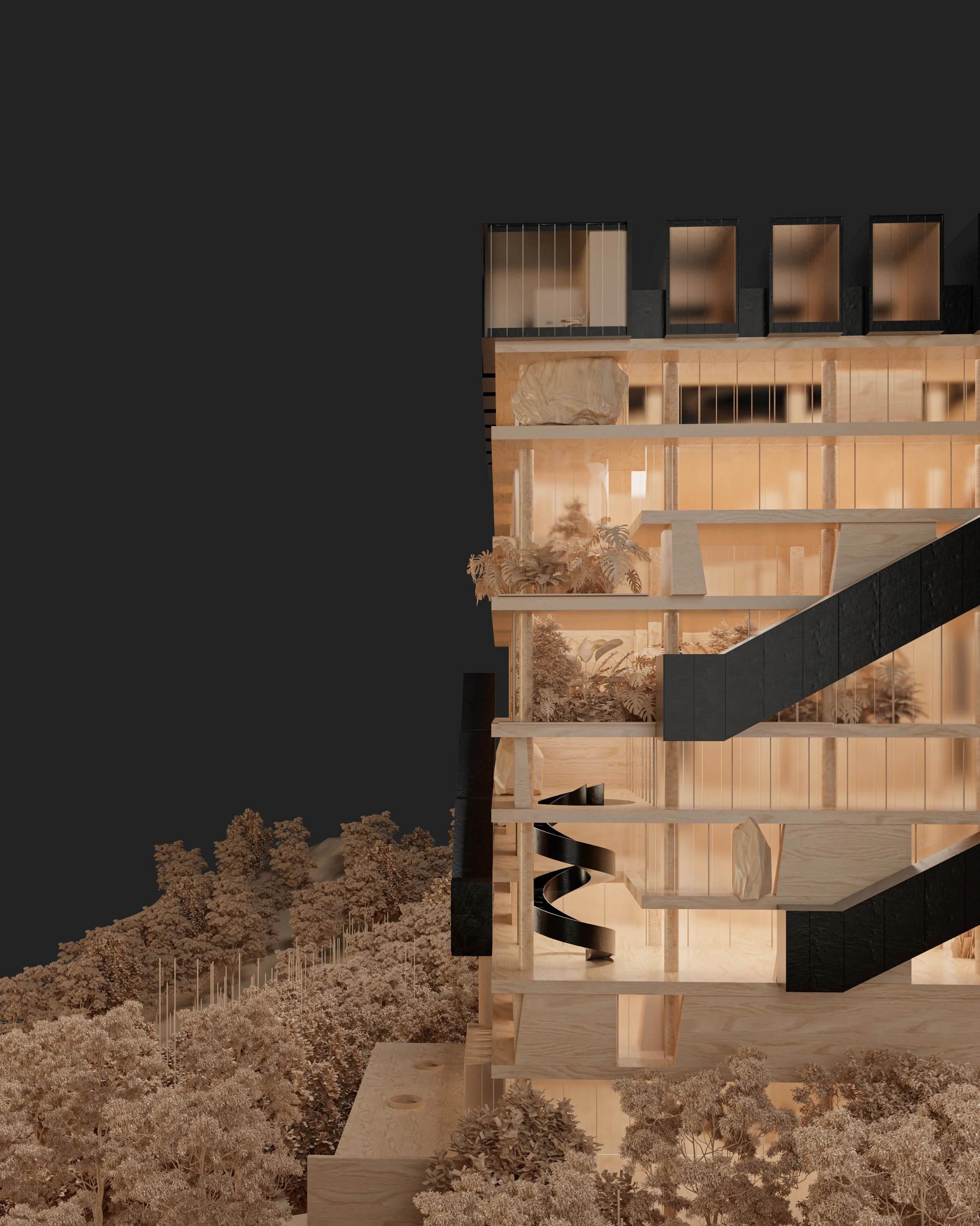 X.2.VISTA 2.2026.03.03.jpg