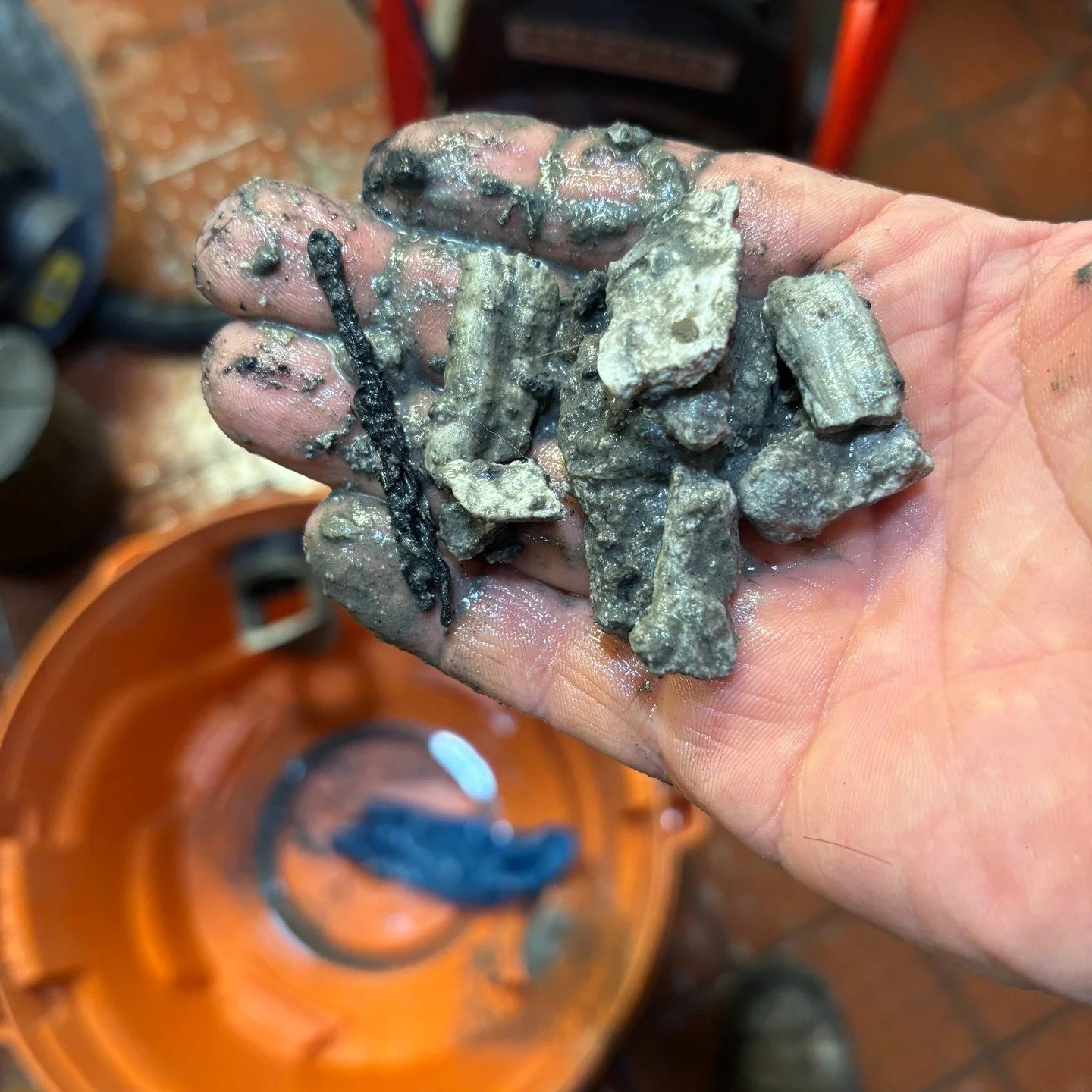 This was clogging the line.
Grease, debris, and something we can&rsquo;t even name&hellip;

💥 Cleared by Drains Great
📞 303-359-8566 | drainsgreat.com
🏔️ Serving Denver &amp; the Front Range