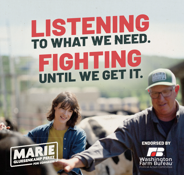 Screen Shot 2025-12-08 at 3.48.09 PM.png