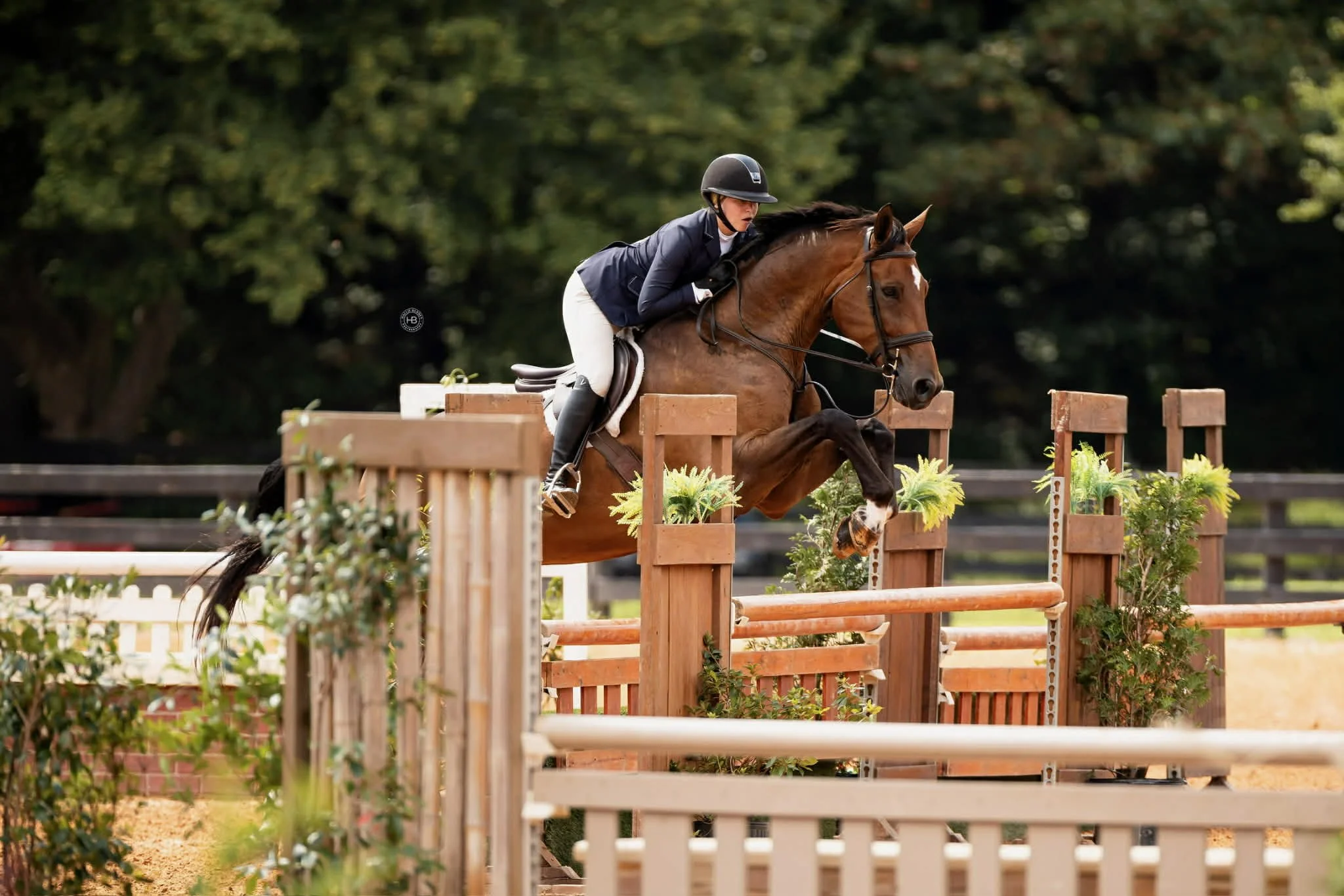 1433b092-4de4-4293-9f1a-5428c1f6727c (1).jpeg