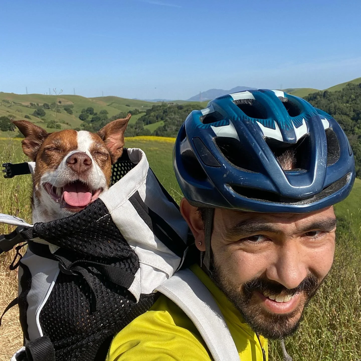 how it started / how its going

PSA: belly still runs this page