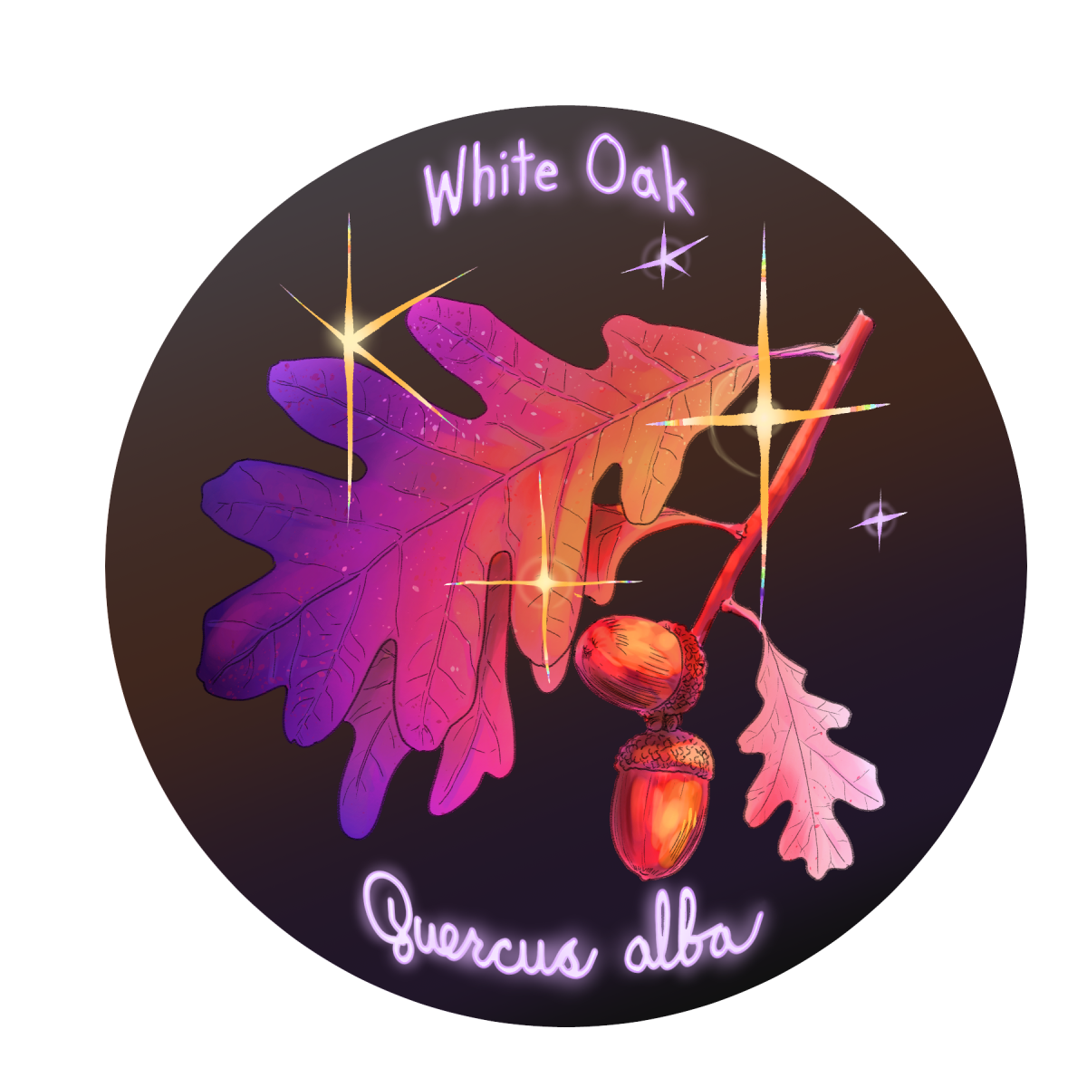 white_oak.png