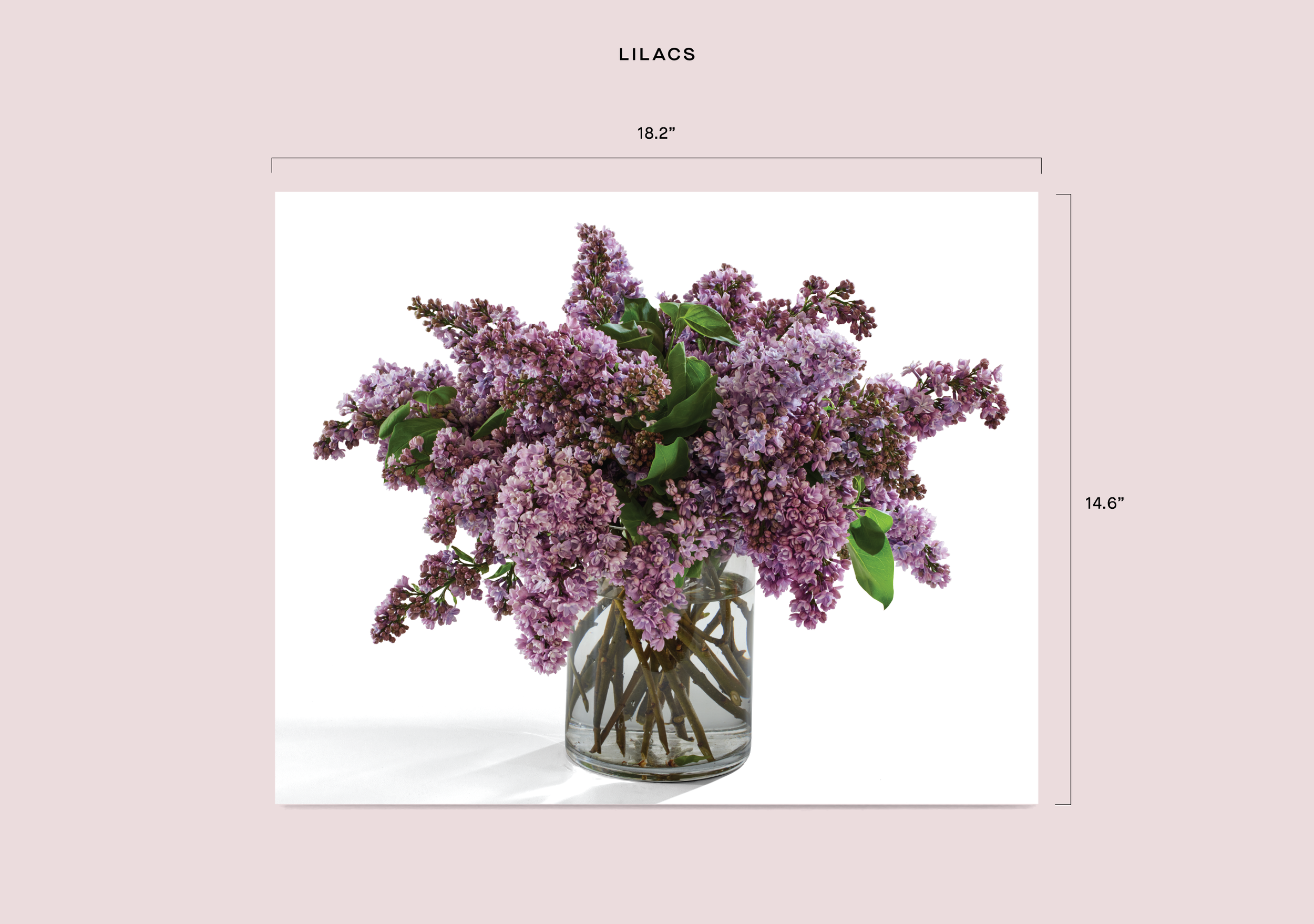 Store 1-1 Dimensions-06.png