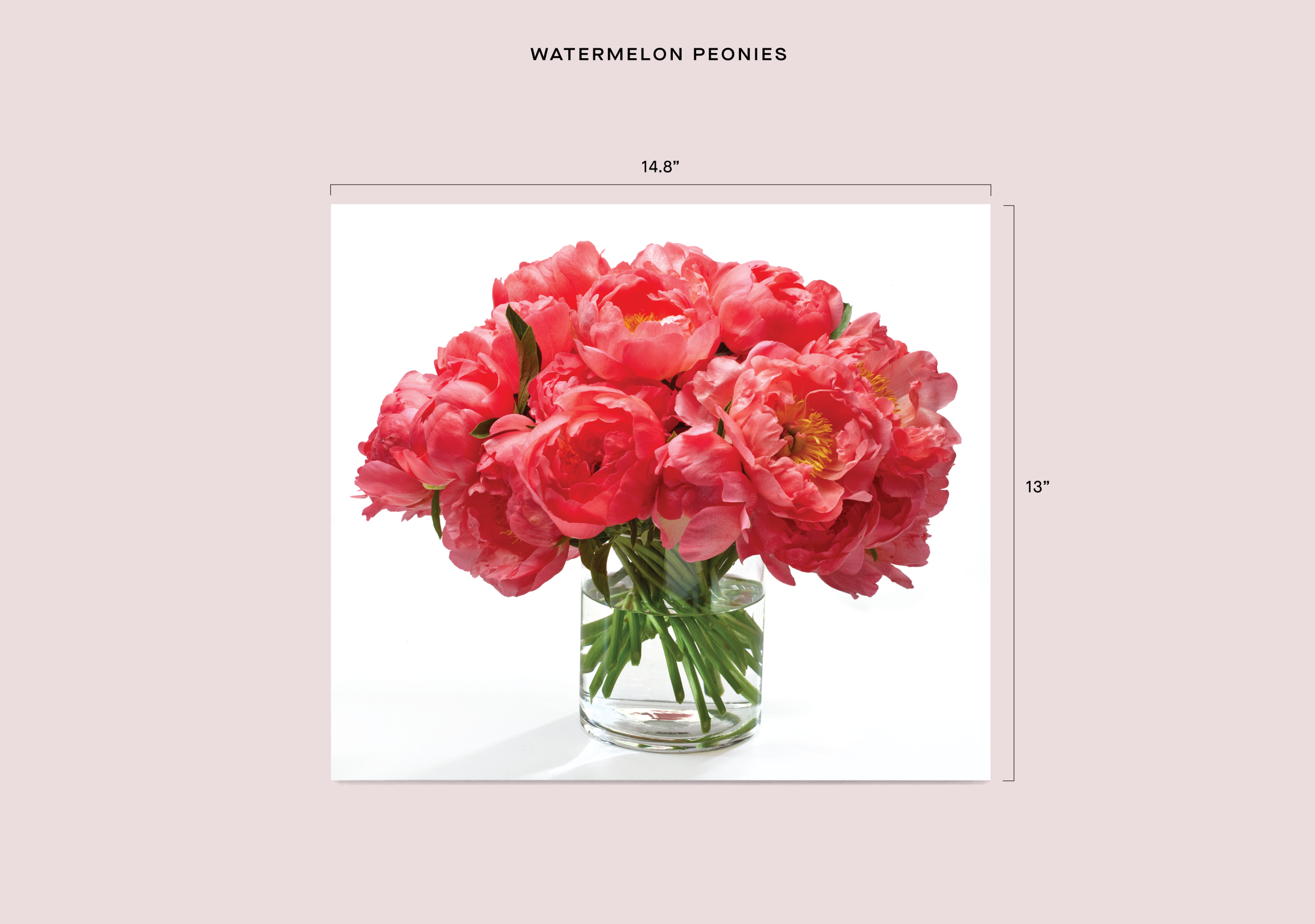 Store 1-1 Dimensions-19.png