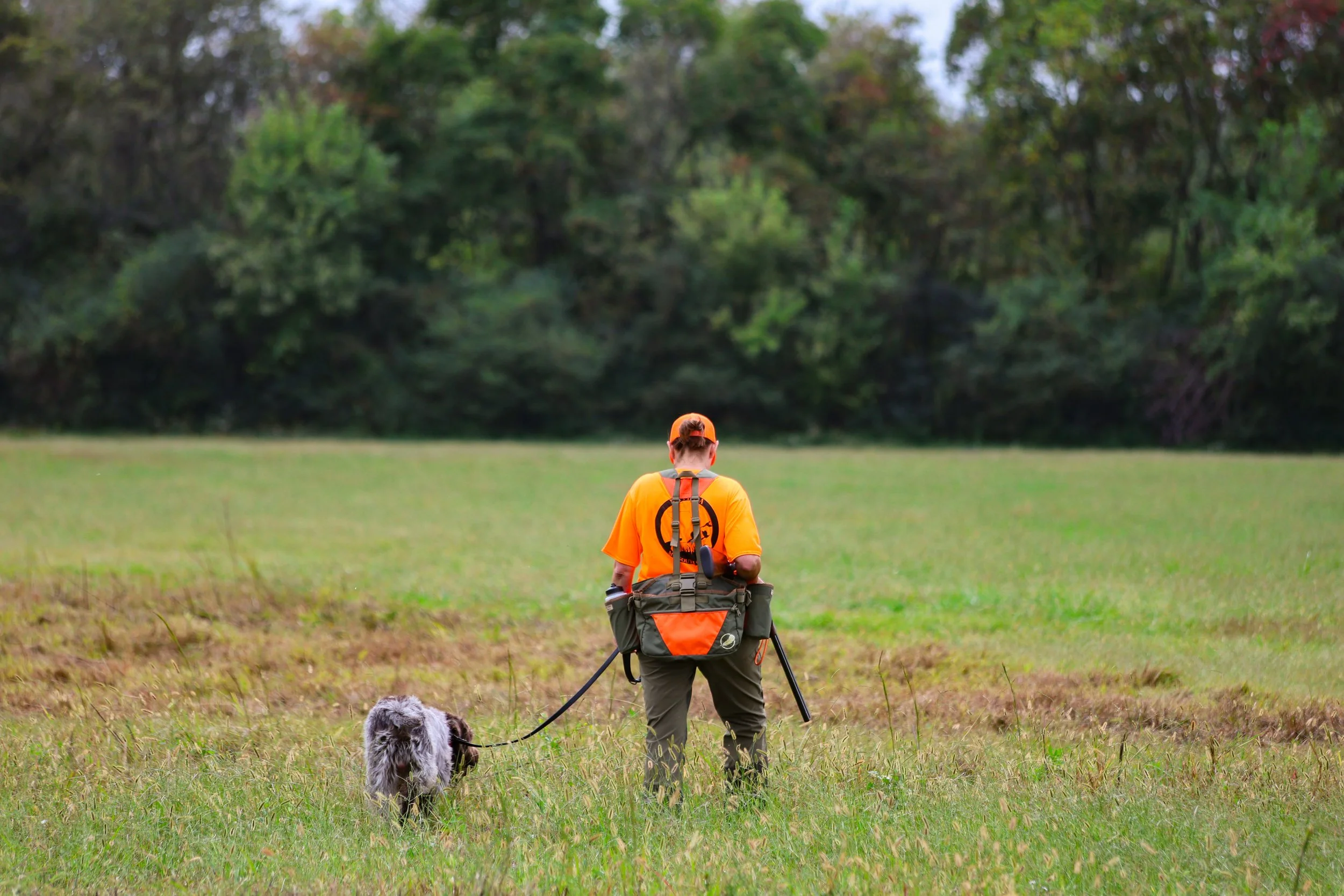 A person walking in a grassy field with a dog, carrying a backpack and hiking gear after hunting, facing away from the camera, with a forested area in the background. They found quail and pheasant today.