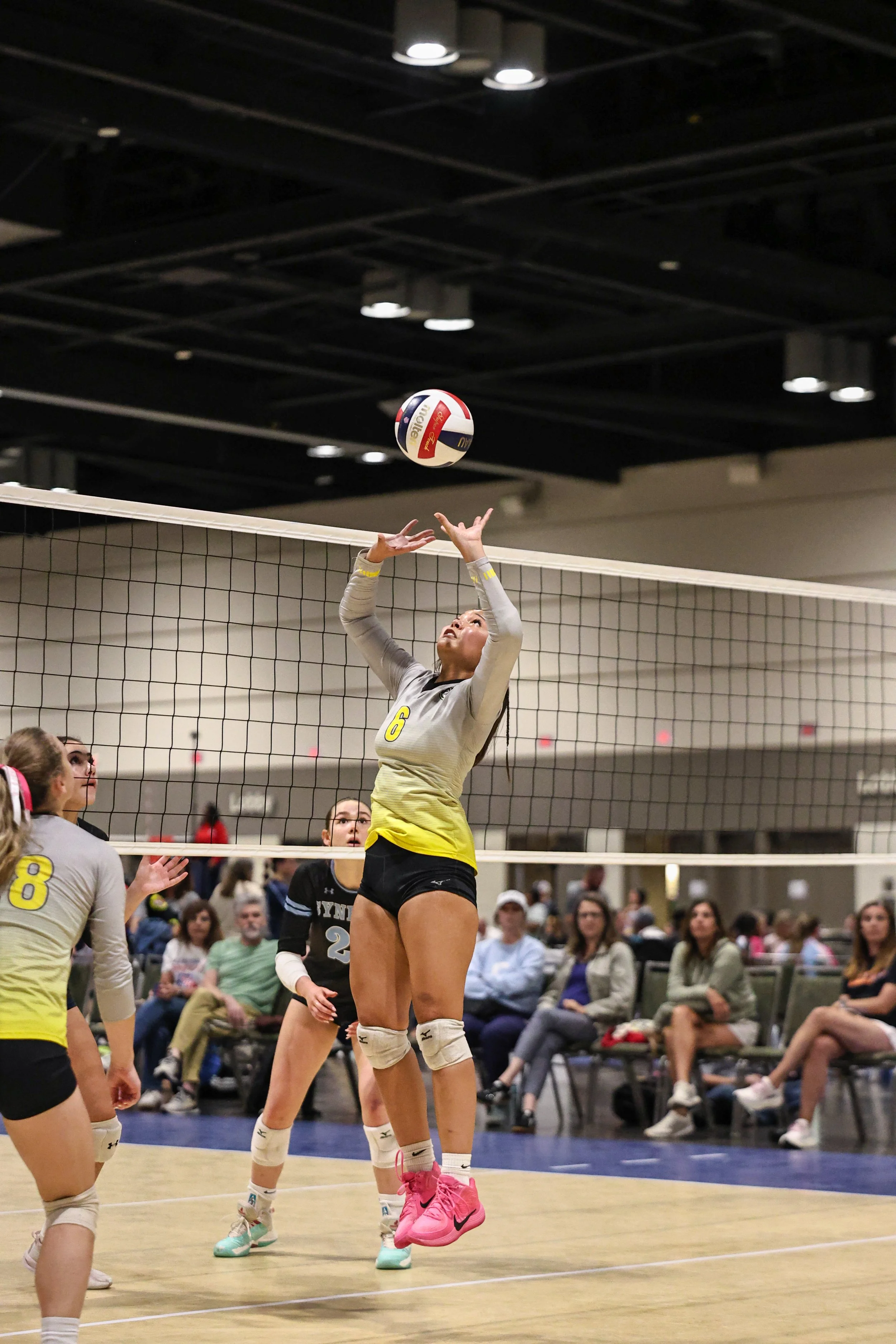 A female volleyball player wearing a gray jersey with the number 6, black shorts, and pink shoes jumping to hit the ball over the net during a match, with spectators watching in the background.