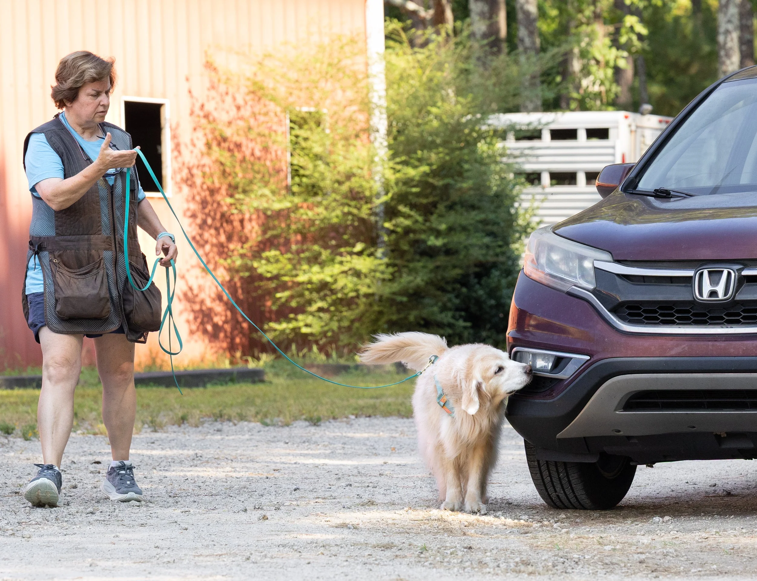 A woman wearing a blue shirt, shorts, sneakers, and a vest stands outdoors holding a dog leash. She has a notepad or book in her left hand and is looking at it. The woman is with a golden retriever dog, which is on a leash and appears to be sniffing the front of a dark-colored Honda SUV parked on a gravel surface. In the background, there are trees and a building with a red exterior wall.