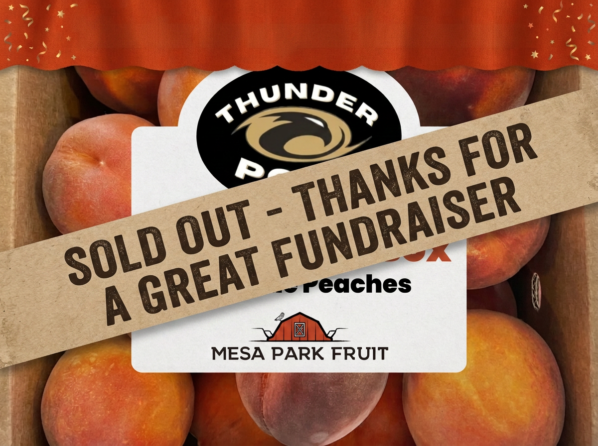 Thunderpoms - Fundraiser