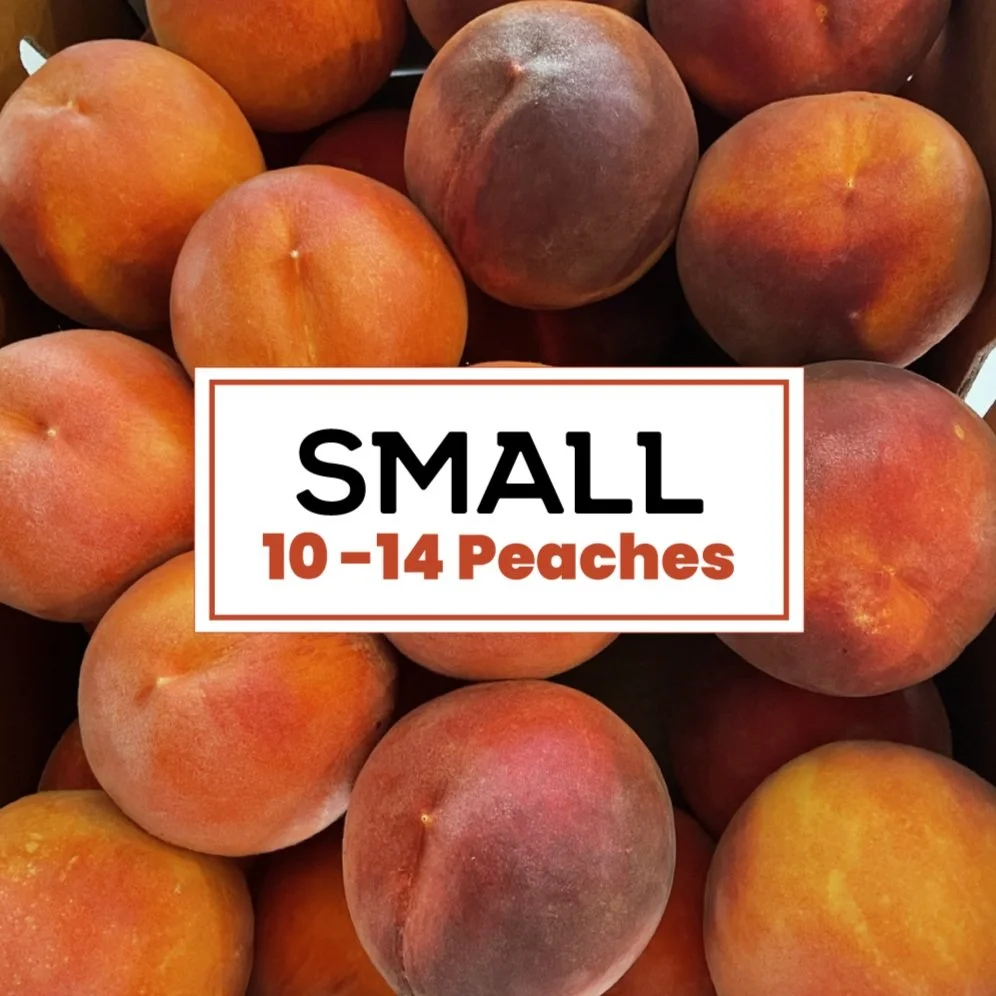 01-small.jpg