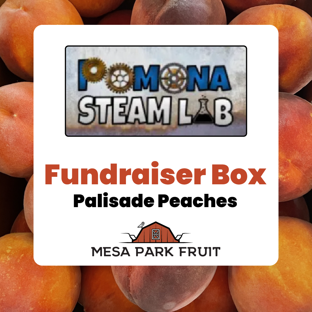 Pomona Steam Lab Fundraiser