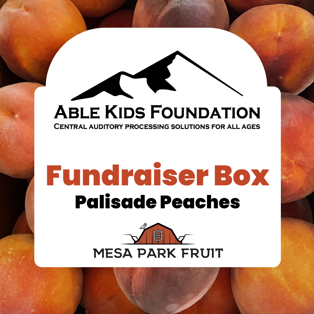 Able Kids Foundation 