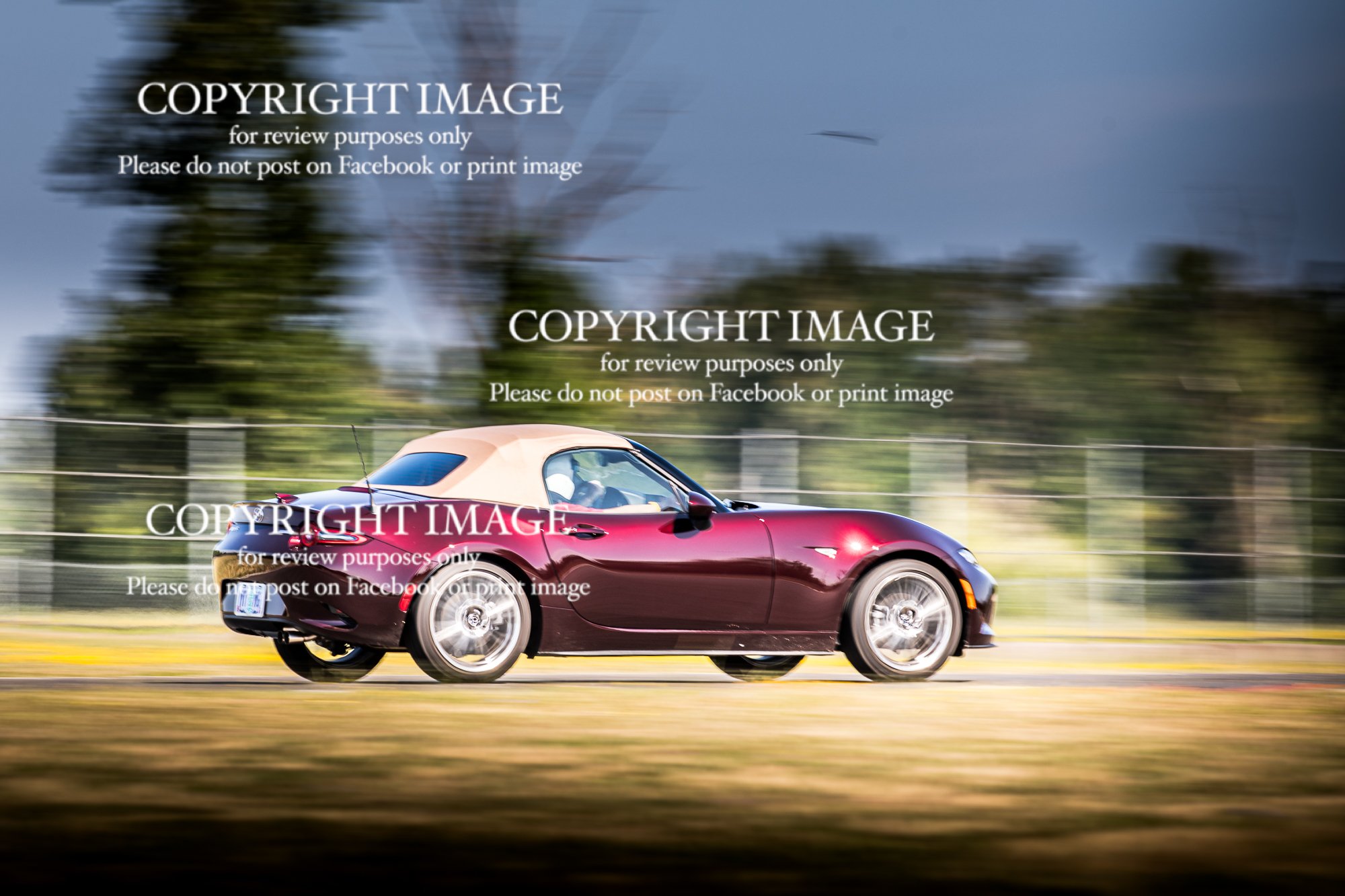26-0707_ProDriveTrackDay-0407.jpg