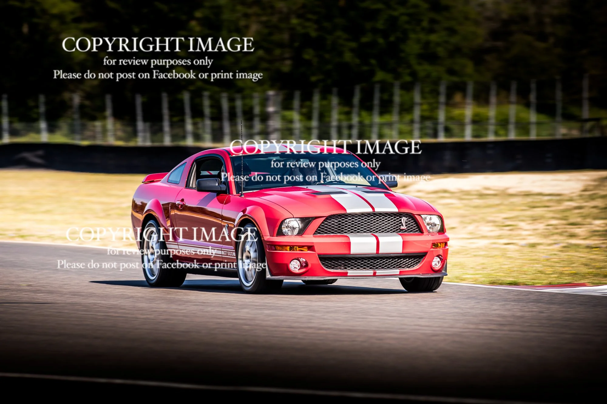 26-0707_ProDriveTrackDay-0004.jpg
