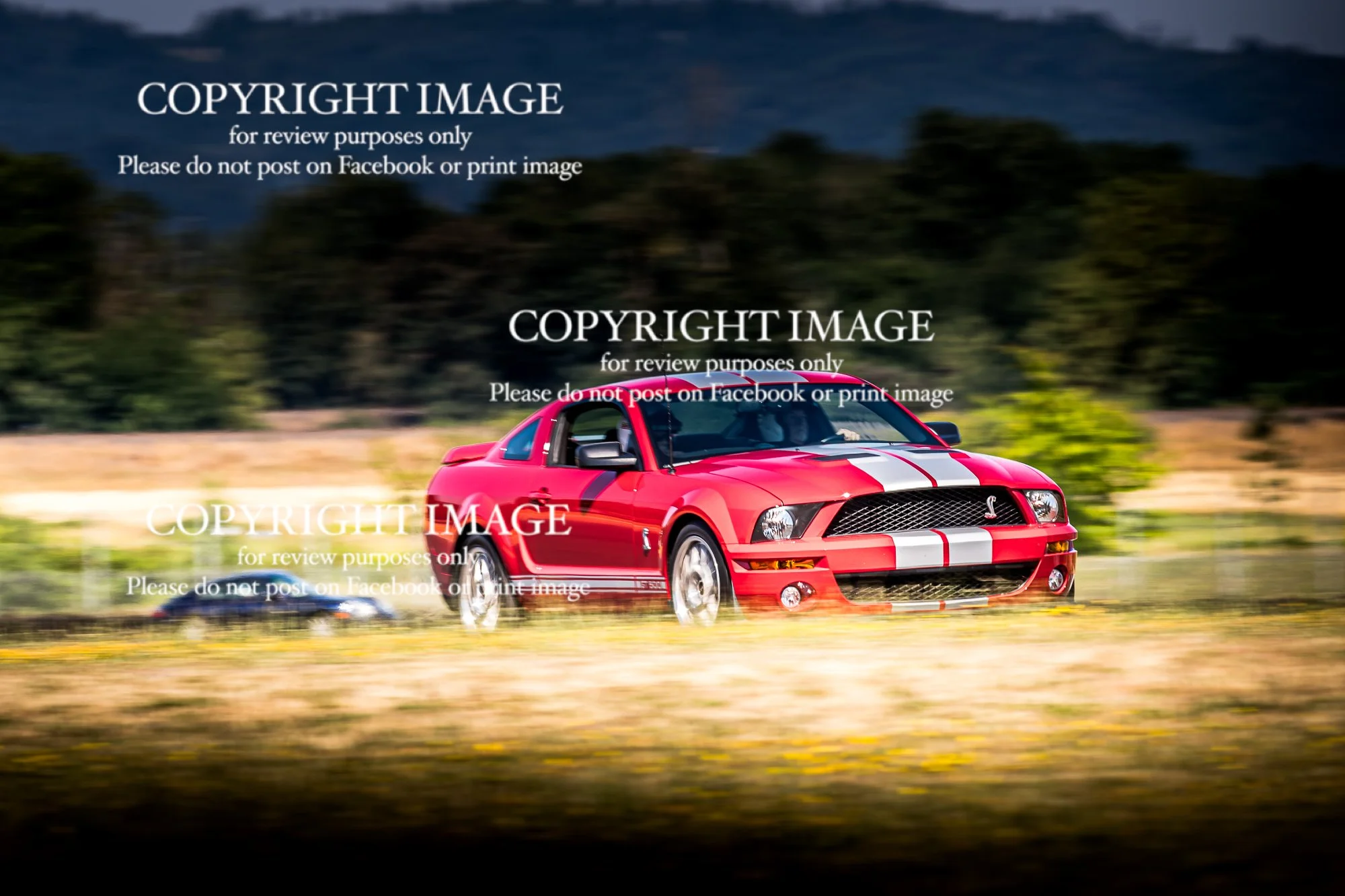 26-0707_ProDriveTrackDay-0357.jpg