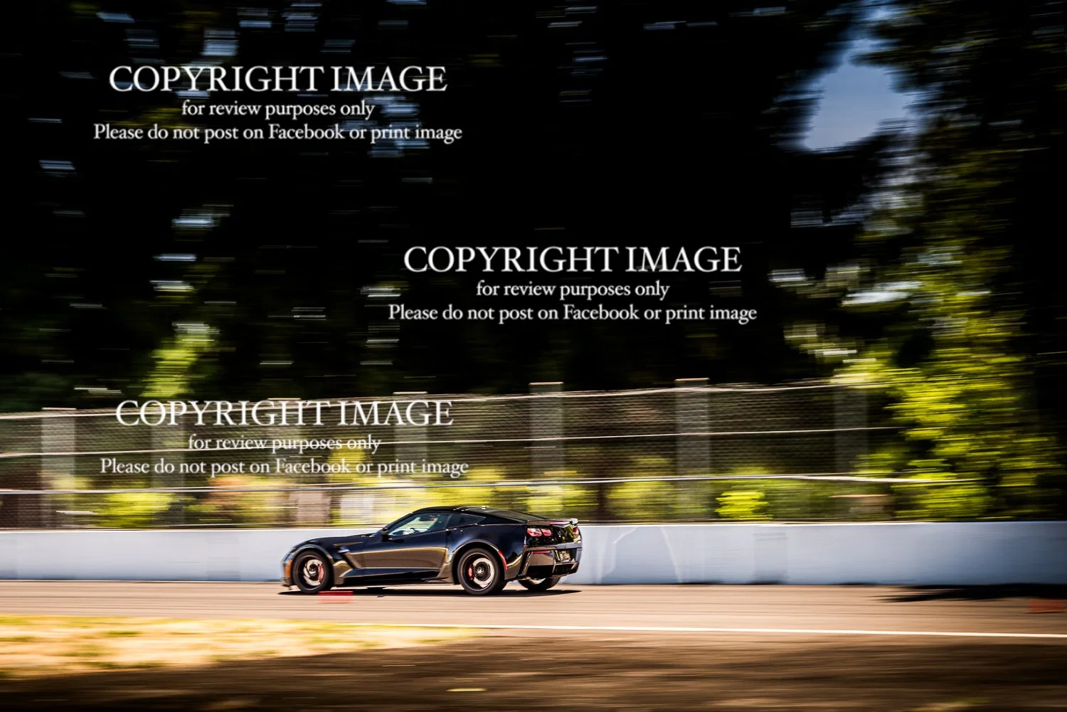 26-0707_ProDriveTrackDay-3742.jpg