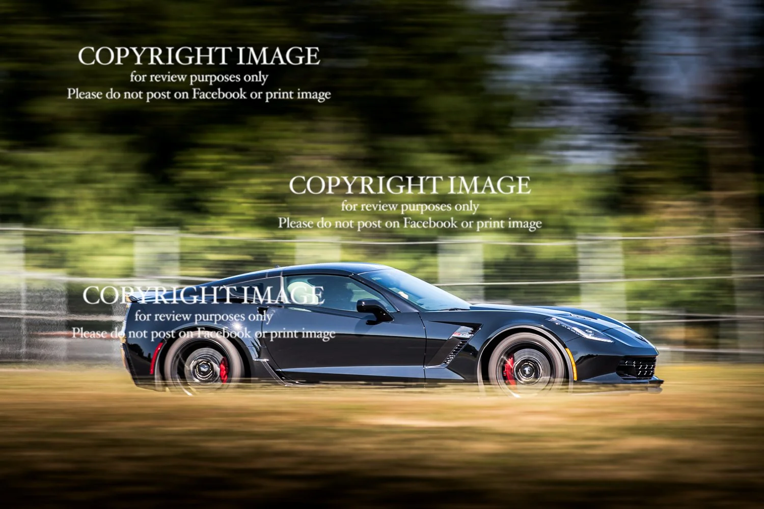 26-0707_ProDriveTrackDay-1105.jpg