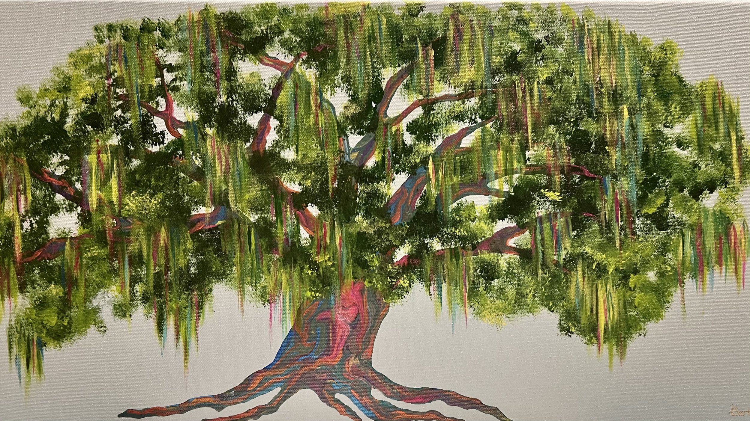Meyer 12x24