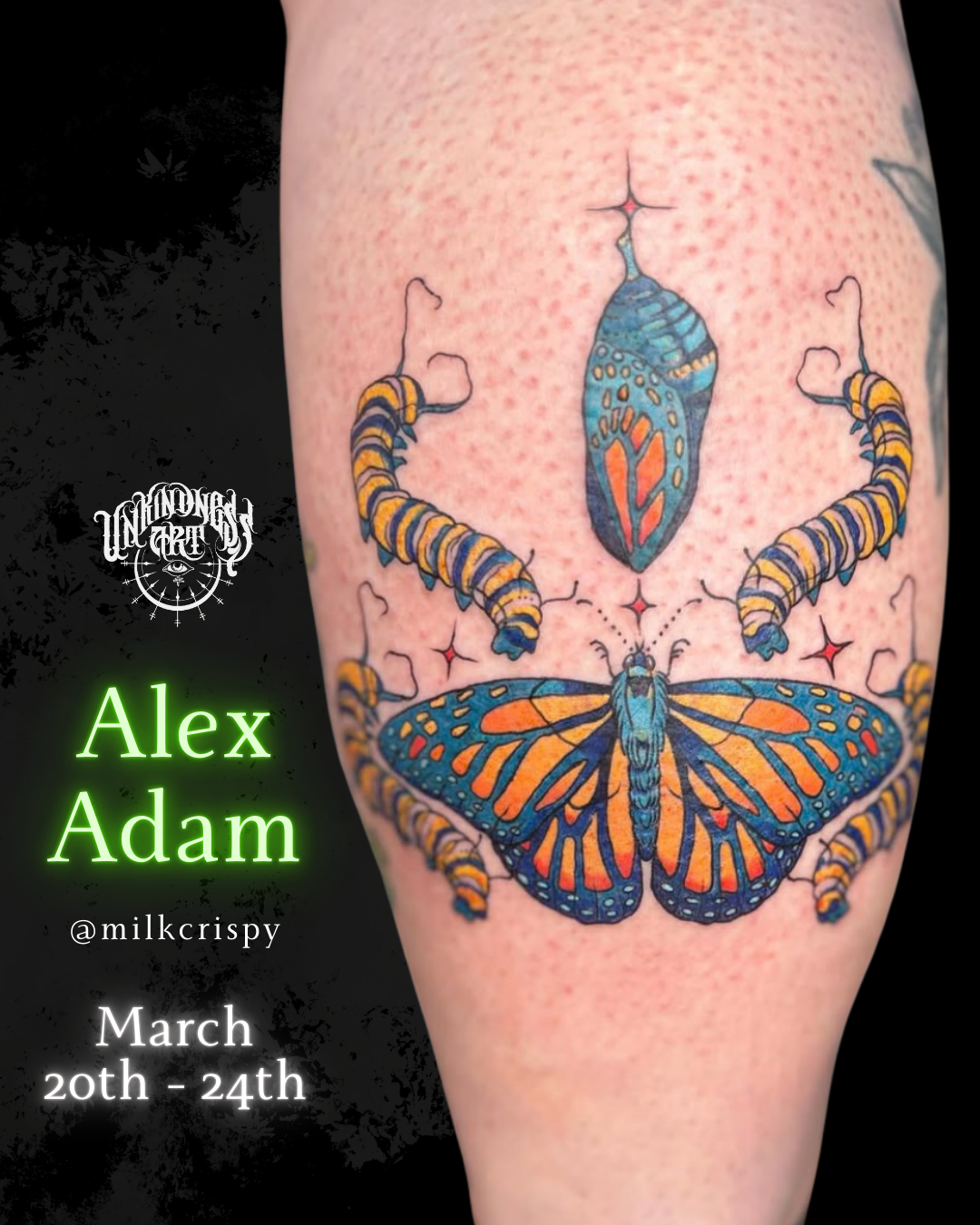 Alex Adam Guest Spot