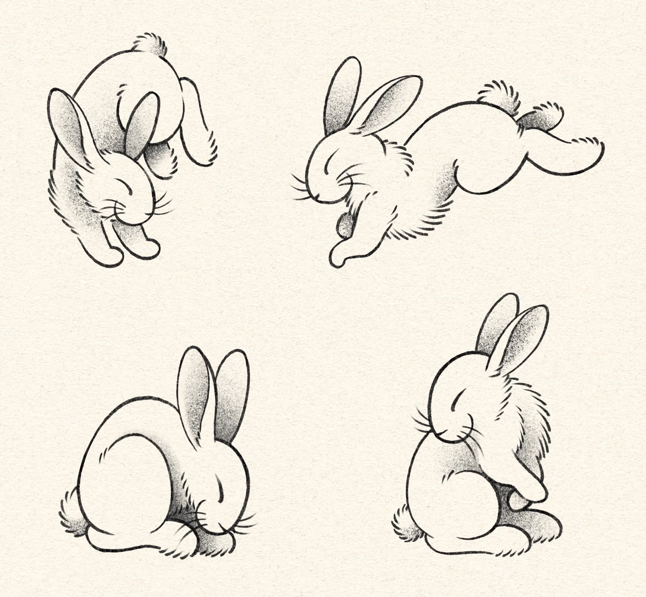 Matt flash color.jpeg