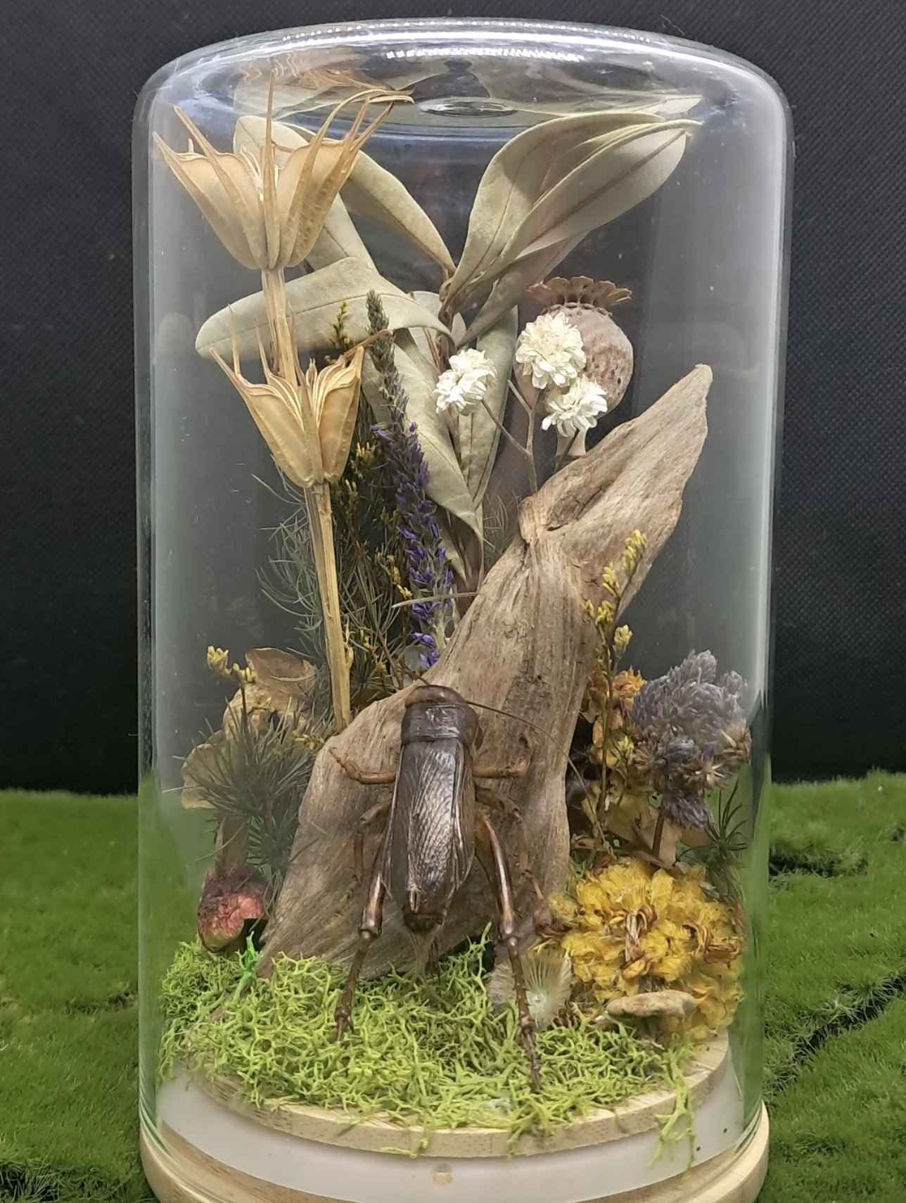 Hallowed Ashes