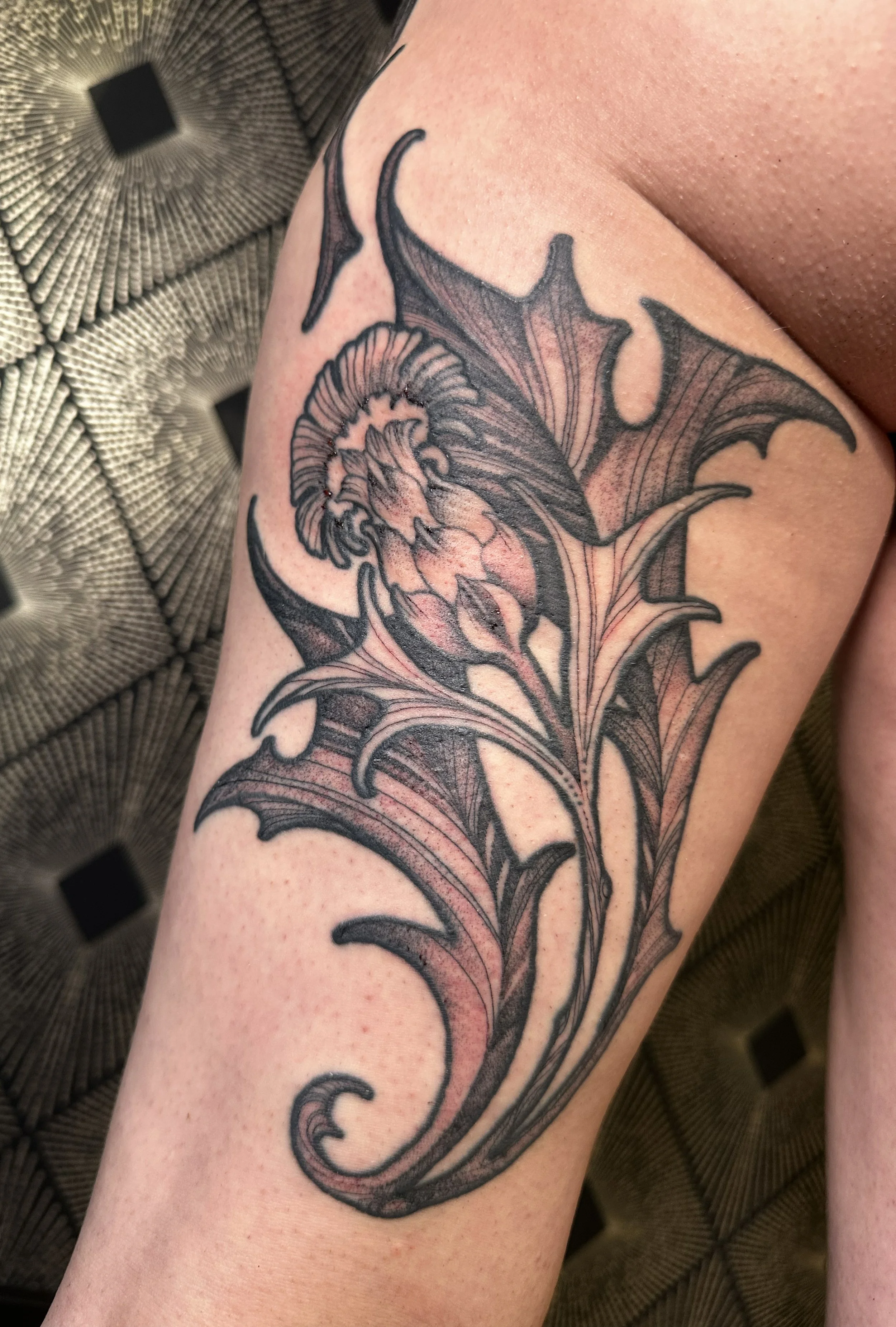 thistle_framing.jpg