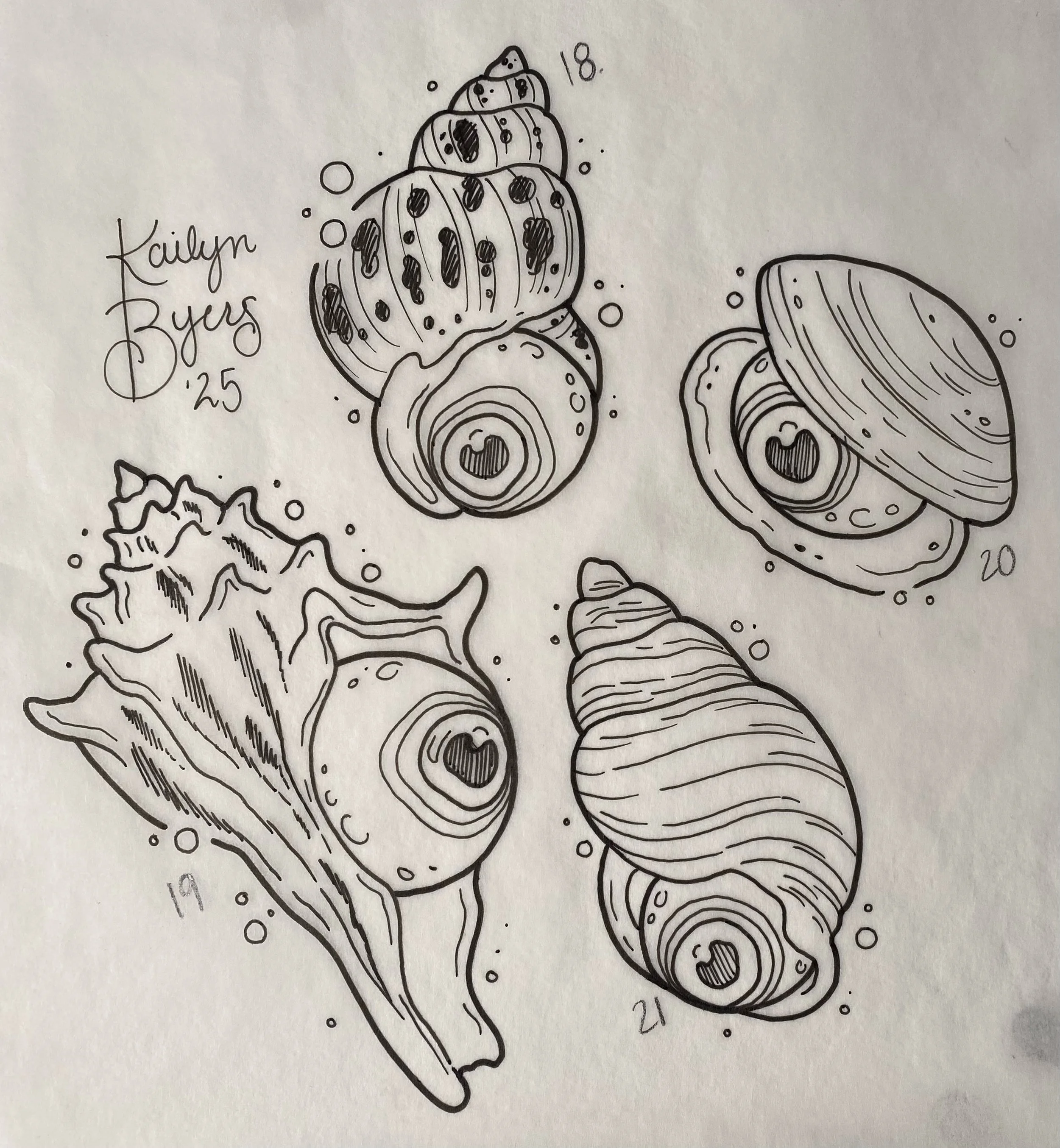 Kailyn flash 12-15-25.jpeg